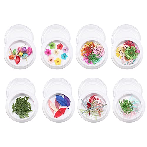 3D Real Natural Dried Flowers for Nail Art - DIY Nail Decoration Stickers for Gel Polish, Acrylic Nails & Manicure - Perfect for Wedding, Party & Special Occasion Nail Designs