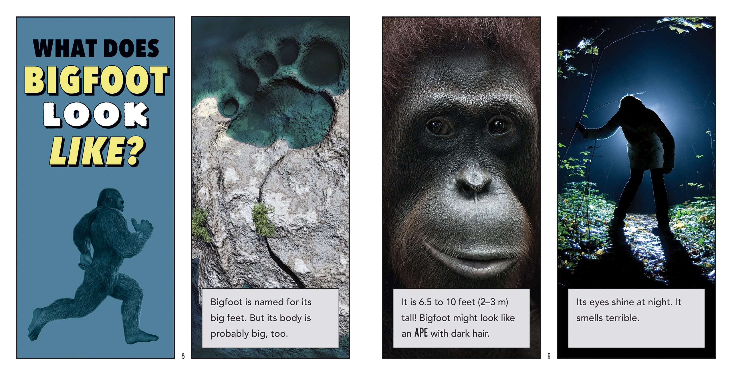 Bigfoot 978 1 60818 761 4 - Authentic Cryptid Book for Outdoor Enthusiasts & Mystery Lovers | Perfect for Campfire Storytelling & Paranormal Research