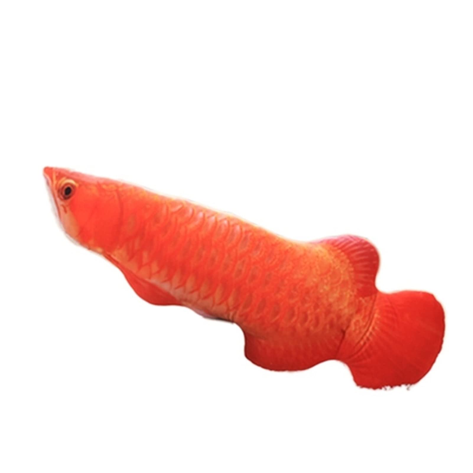 GLIXOL 12 Inch Cute Arowana Plush Toy - Realistic Stuffed Animal Goldfish, Soft Cartoon Interactive Plushie for Kids, Perfect Birthday Gift for Boys & Girls (Color: 3) - Great for Bedroom Decor, Nursery Room, Playtime & Cuddling