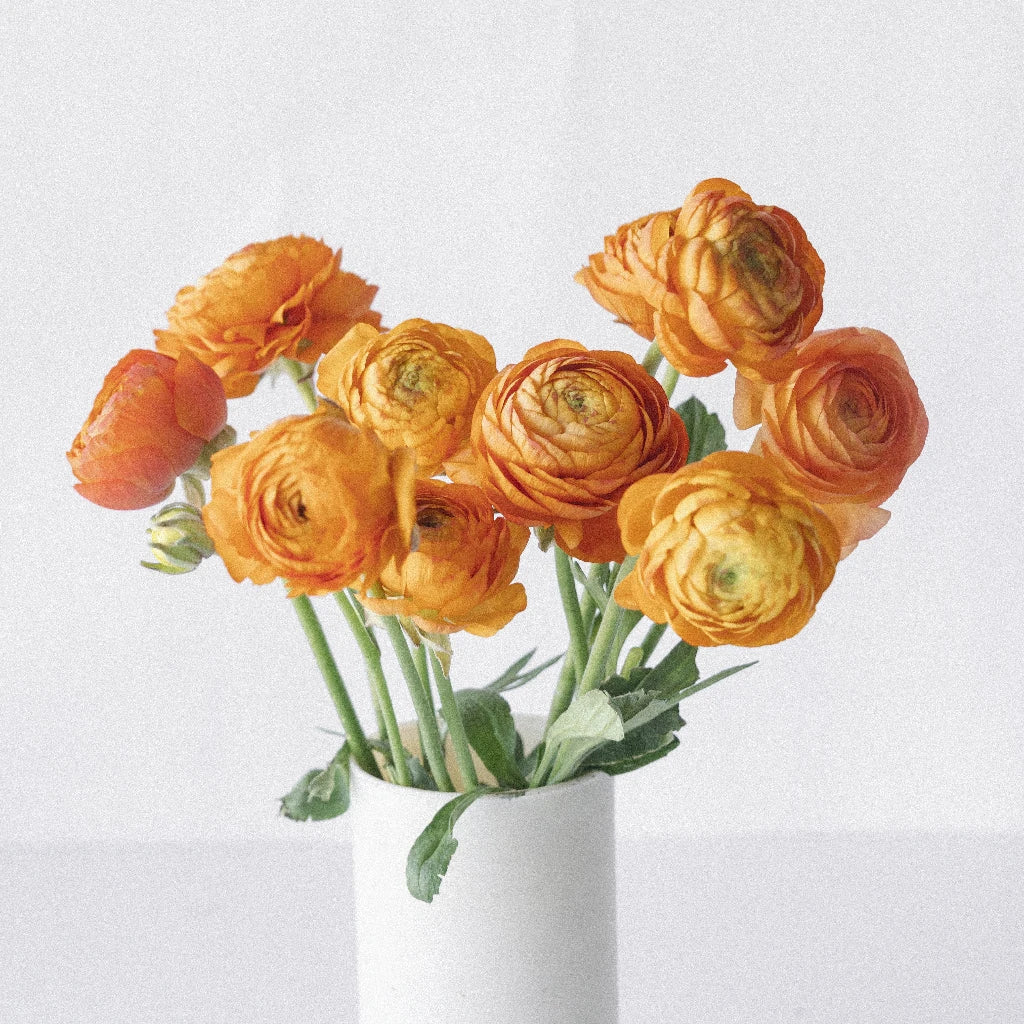 Bahama Mama Italian Cloony Ranunculus Flowers - Beautiful Artificial Silk Floral Arrangement for Home Decor, Wedding Centerpieces, and Party Decorations