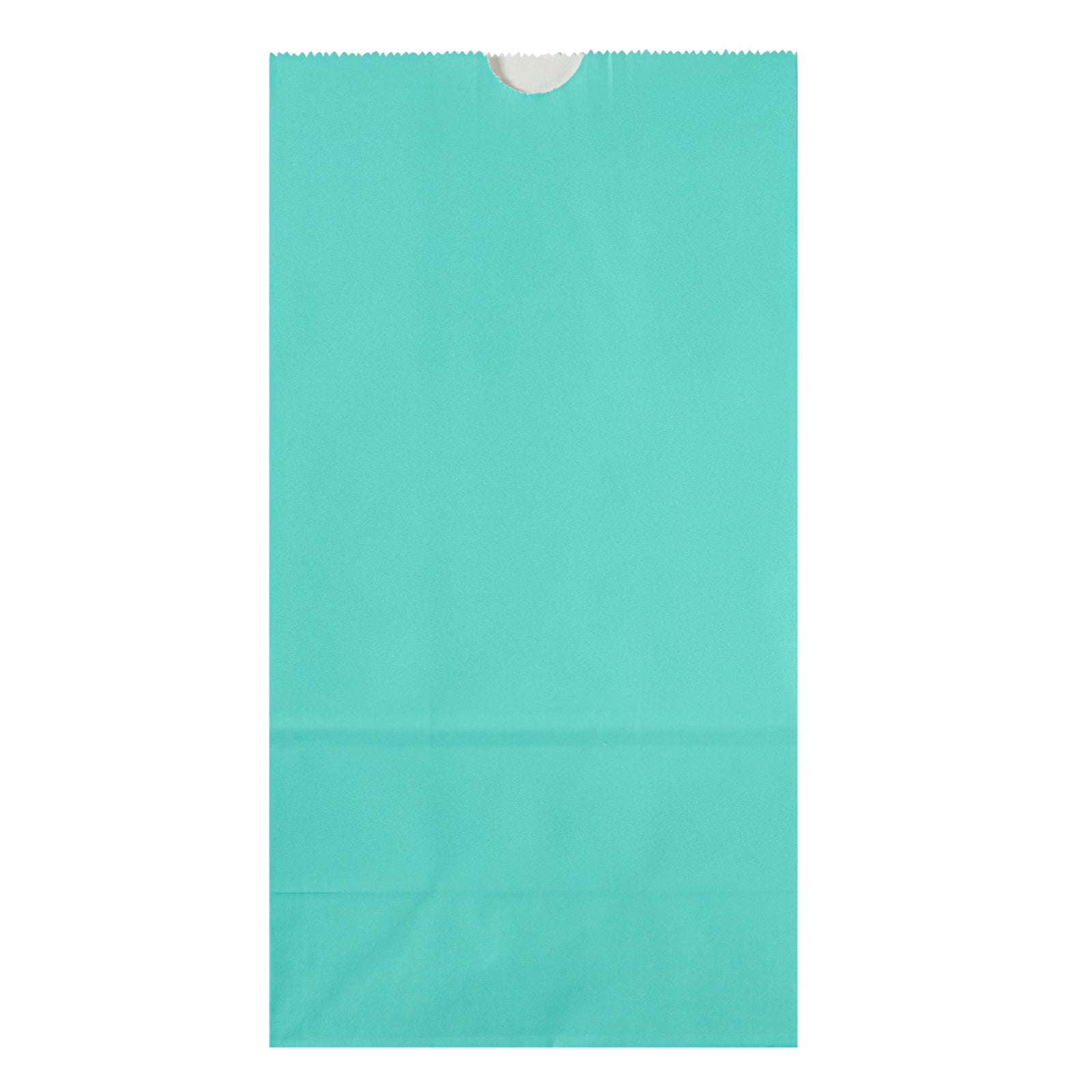 Premium Turquoise Paper Bags - 6 lbs, 6