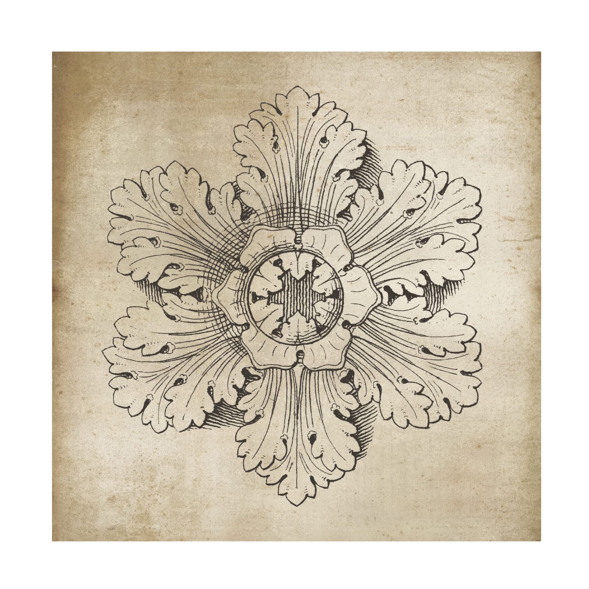 Trademark Fine Art 'Rosette V Neutral' Canvas Wall Art Print by Wild Apple Portfolio - Modern Home Decor for Living Room, Bedroom & Office