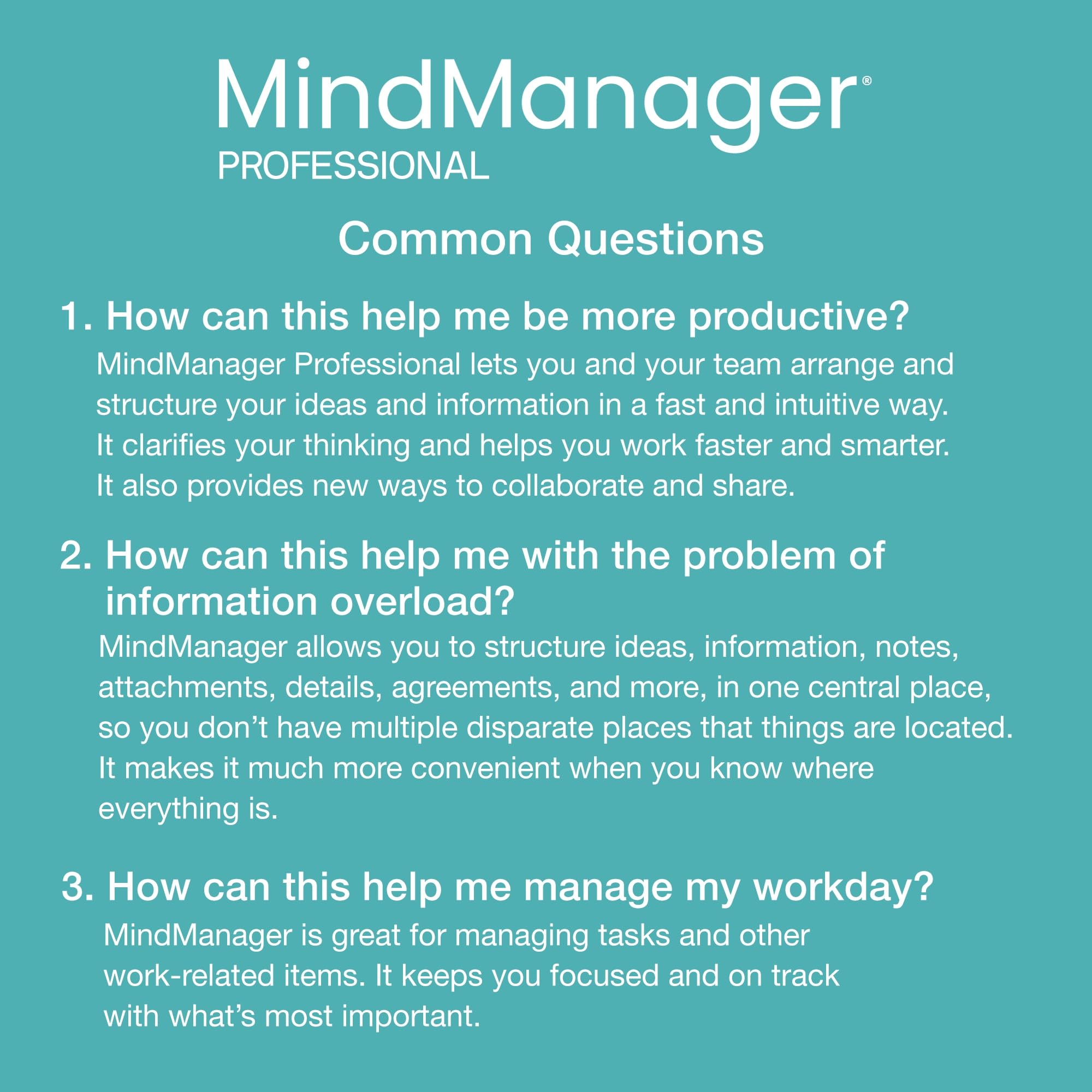 MindManager Professional 1 Year Subscription - Powerful Mind Mapping & Visualization Software for PC & Mac | Boost Productivity, Brainstorming & Project Planning