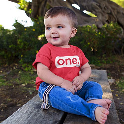Adorable 1st Birthday Outfit for Toddler Boys - Cute Baby Boy Shirt & First Birthday Gift for One Year Old - Perfect for Birthday Parties & Photo Shoots