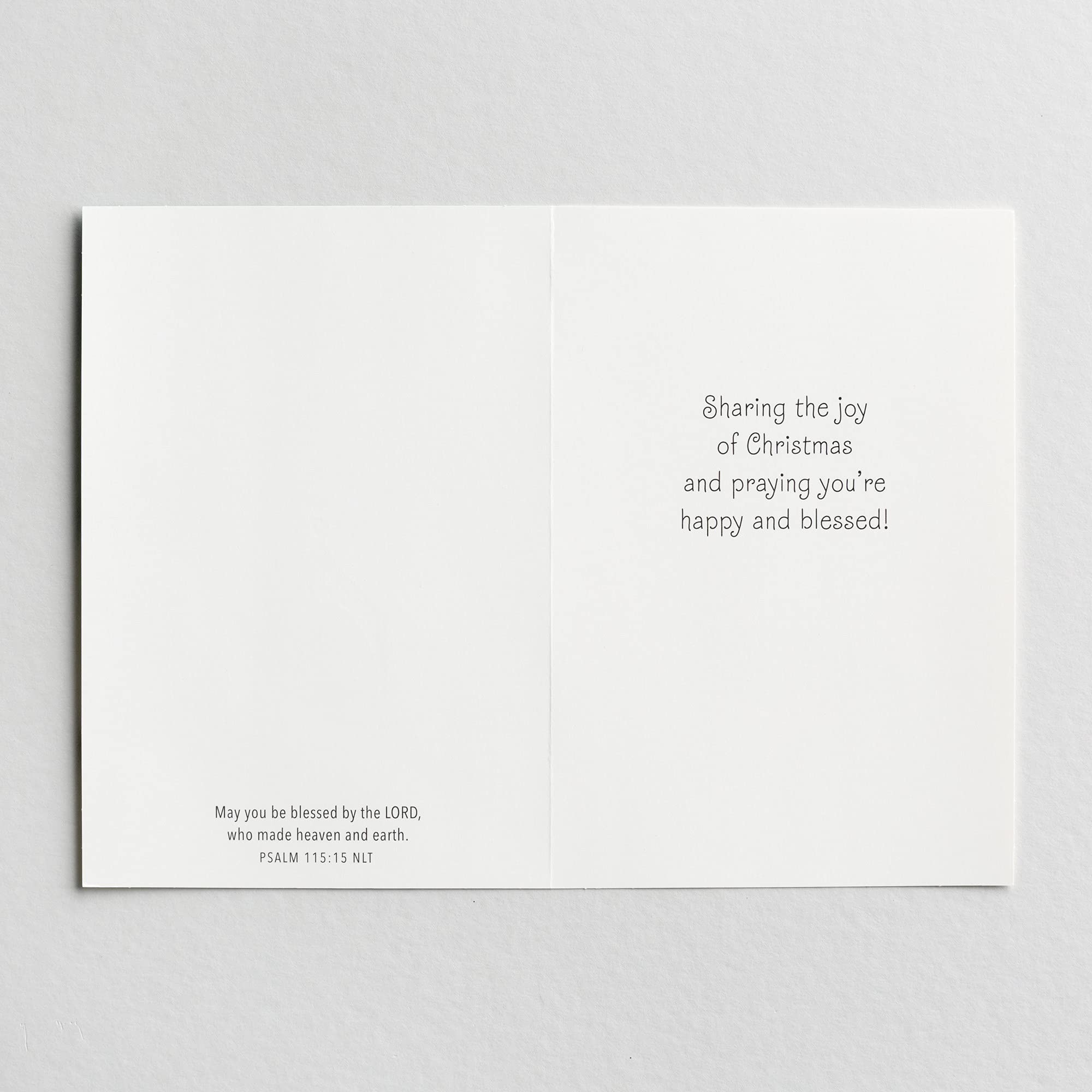 DaySpring 18 Christmas Cards with Bible Verses & Envelopes - Blue Religious Holiday Greeting Cards Featuring 'Every Creature' Design for Christian Celebrations, Church Events & Family Gatherings