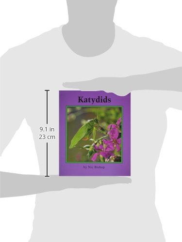 Katydids - Educational Books for Young Learners | Fun Insect Learning for Kids, Classroom & Homeschooling