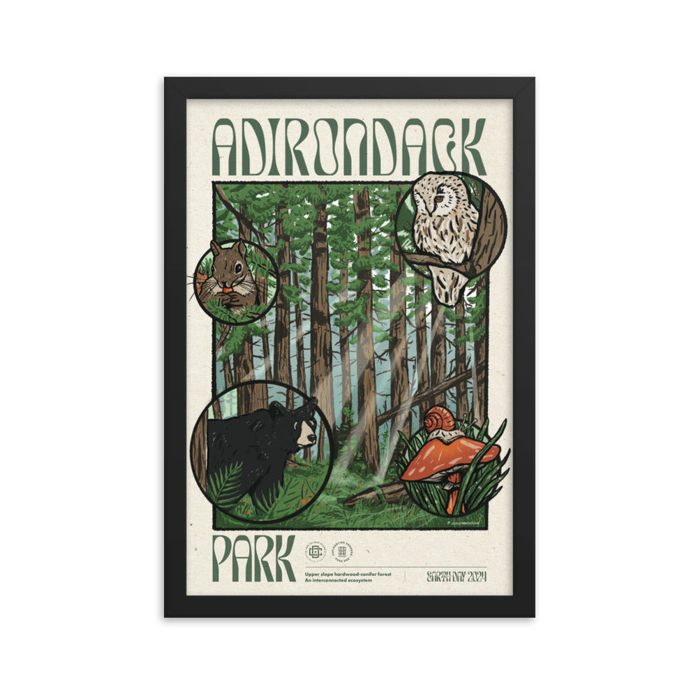 Adirondack Ecosystem Poster - 1st Edition | High-Quality Wall Art for Home, Office & Classroom Decor