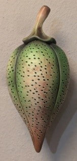 Andy Rogers Ceramics Medium Wall Seed Planter #AR49 - Perfect for Indoor Herb Gardens, Succulent Displays, and Home Decor