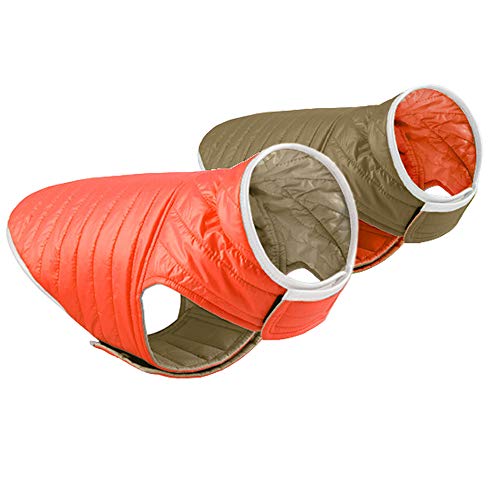 Orange/Brown