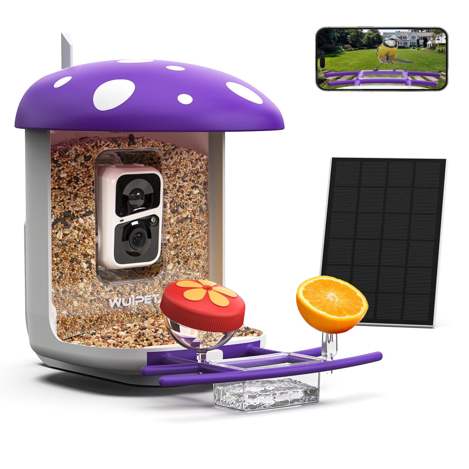 Smart AI Bird Feeder Camera with Solar Panel - Auto Bird Species Identification, Video Capture & Instant Alerts - Live View Bird Watching - Perfect Gift for Bird Lovers (Purple) - Ideal for Backyard, Garden & Nature Observation