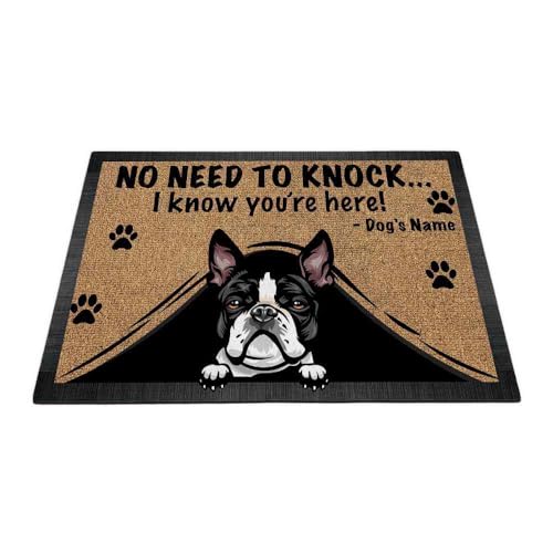 Boston Terrier