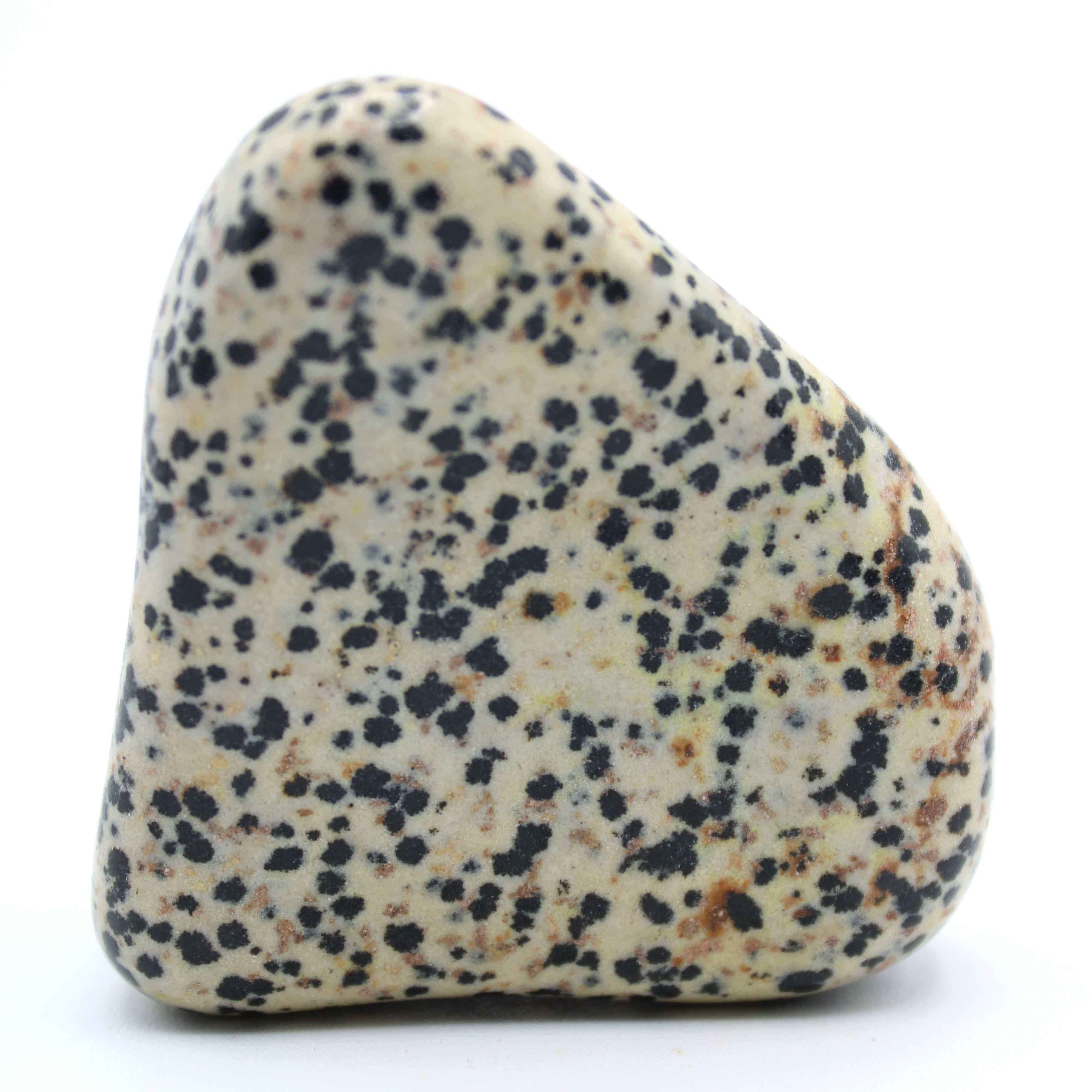 Natural Dalmatian Jasper Free Form Stone - Healing Crystal for Meditation, Home Decor & Spiritual Gifts | Perfect for Yoga, Reiki & Positive Energy