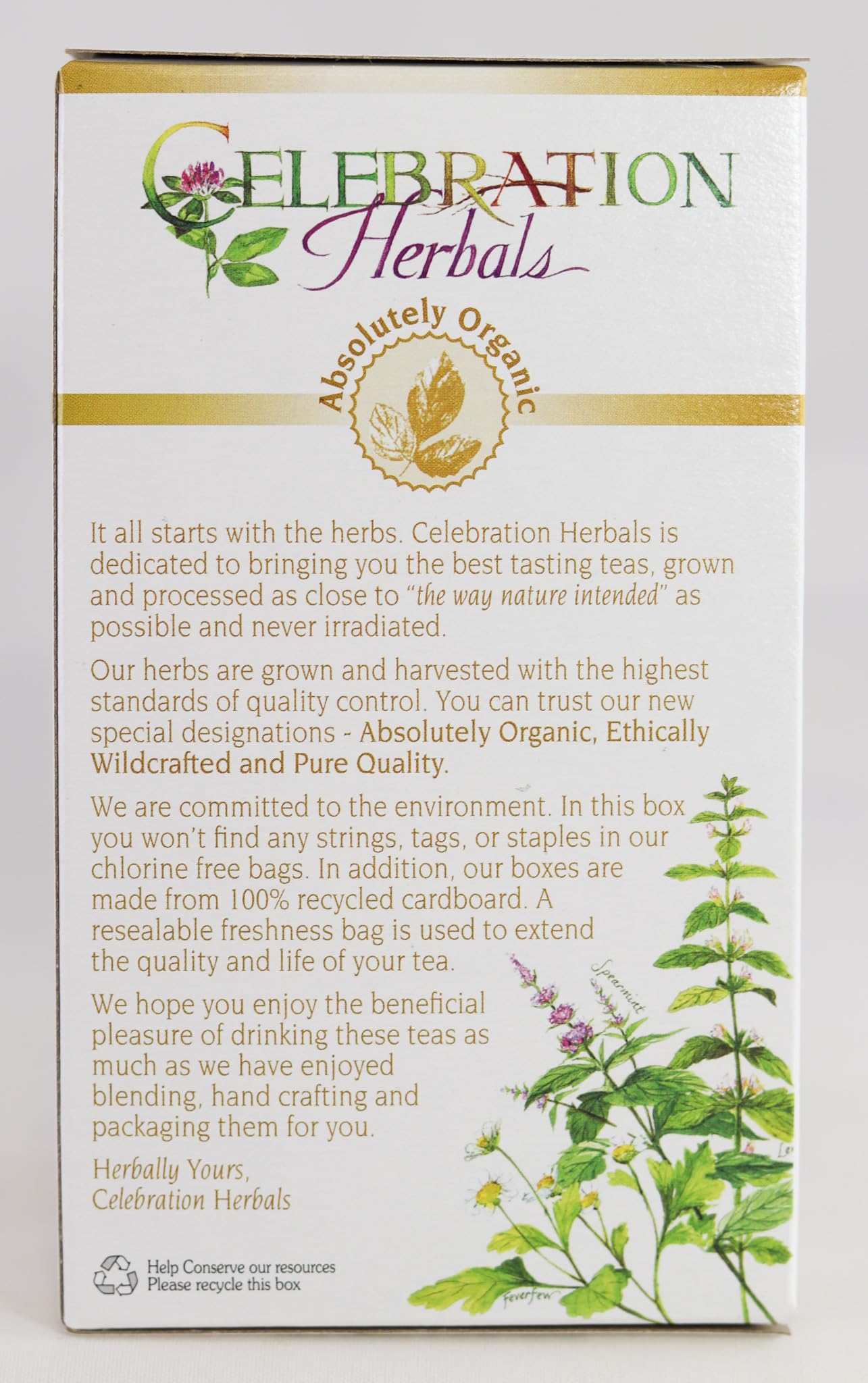 Organic Maca Root Powder by CELEBRATION HERBALS - 24 Tea Bags (0.02 lb) | Natural Energy Boost, Hormone Balance & Stress Relief | Perfect for Smoothies, Teas & Wellness Drinks