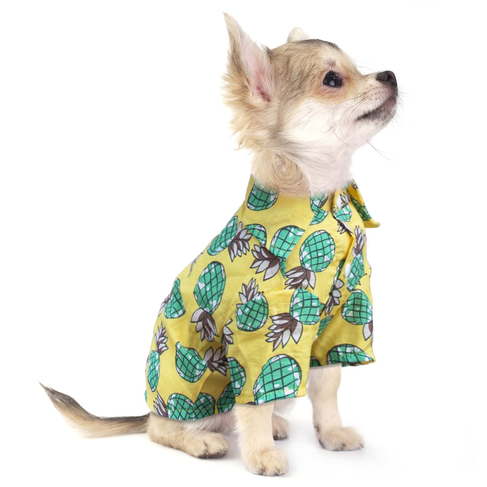 Stylish Hawaiian Shirts for Small Dogs & Cats - Summer Teacup Puppy T-Shirts with Fun Prints | Perfect for Chihuahuas, Pet Apparel for Beach Outings & Summer Adventures