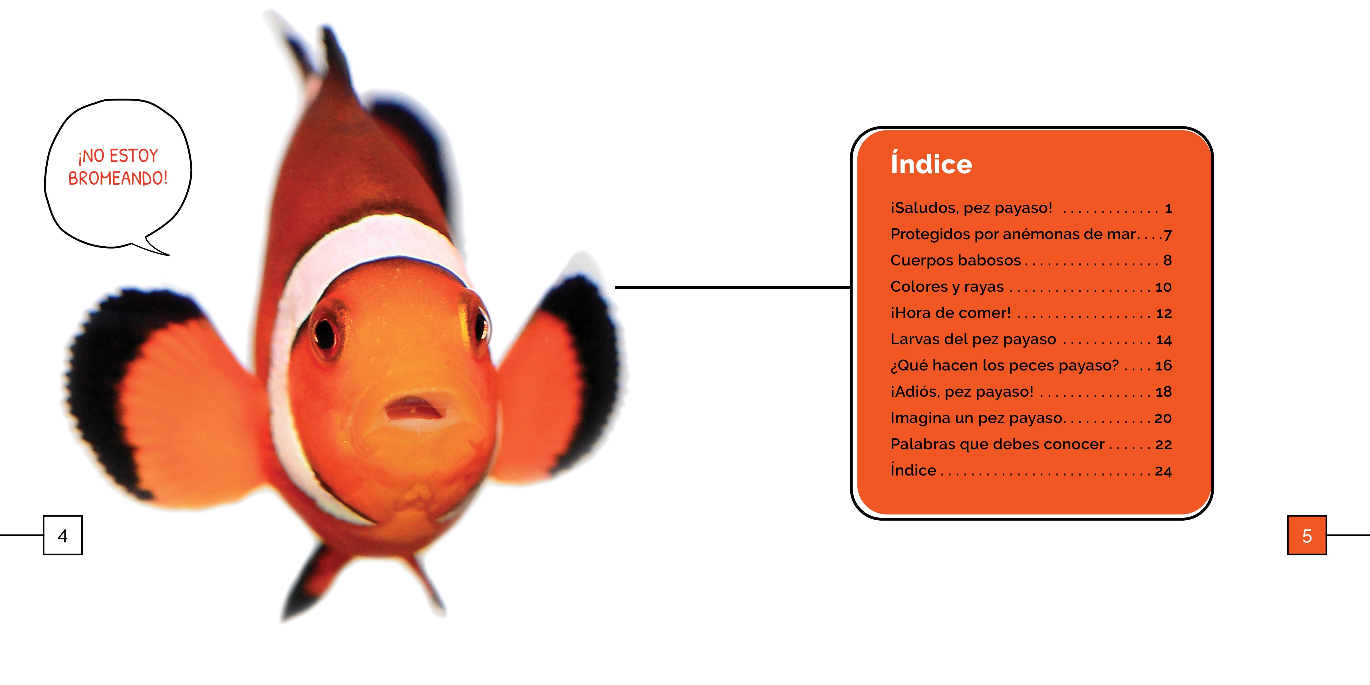 Clownfish for Saltwater Aquariums - Vibrant & Hardy Marine Fish for Reef Tanks | Perfect for Home Aquariums & Ocean-Themed Decor