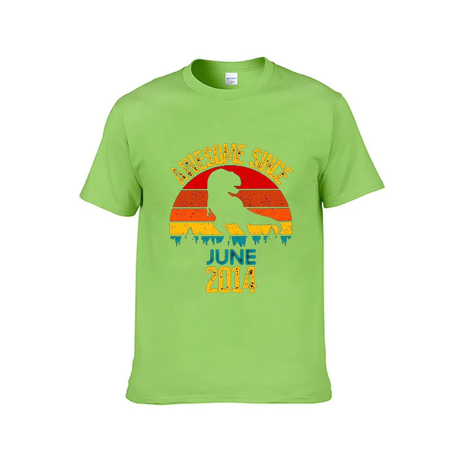 Dinosaurs Since 2014 Print Boys T-Shirt - Short Sleeve Crew Neck Kids Top | Perfect Birthday Gift for Boys | Great for School, Playdates & Family Outings