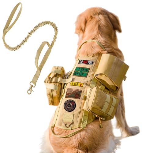 Khaki(With Leash)