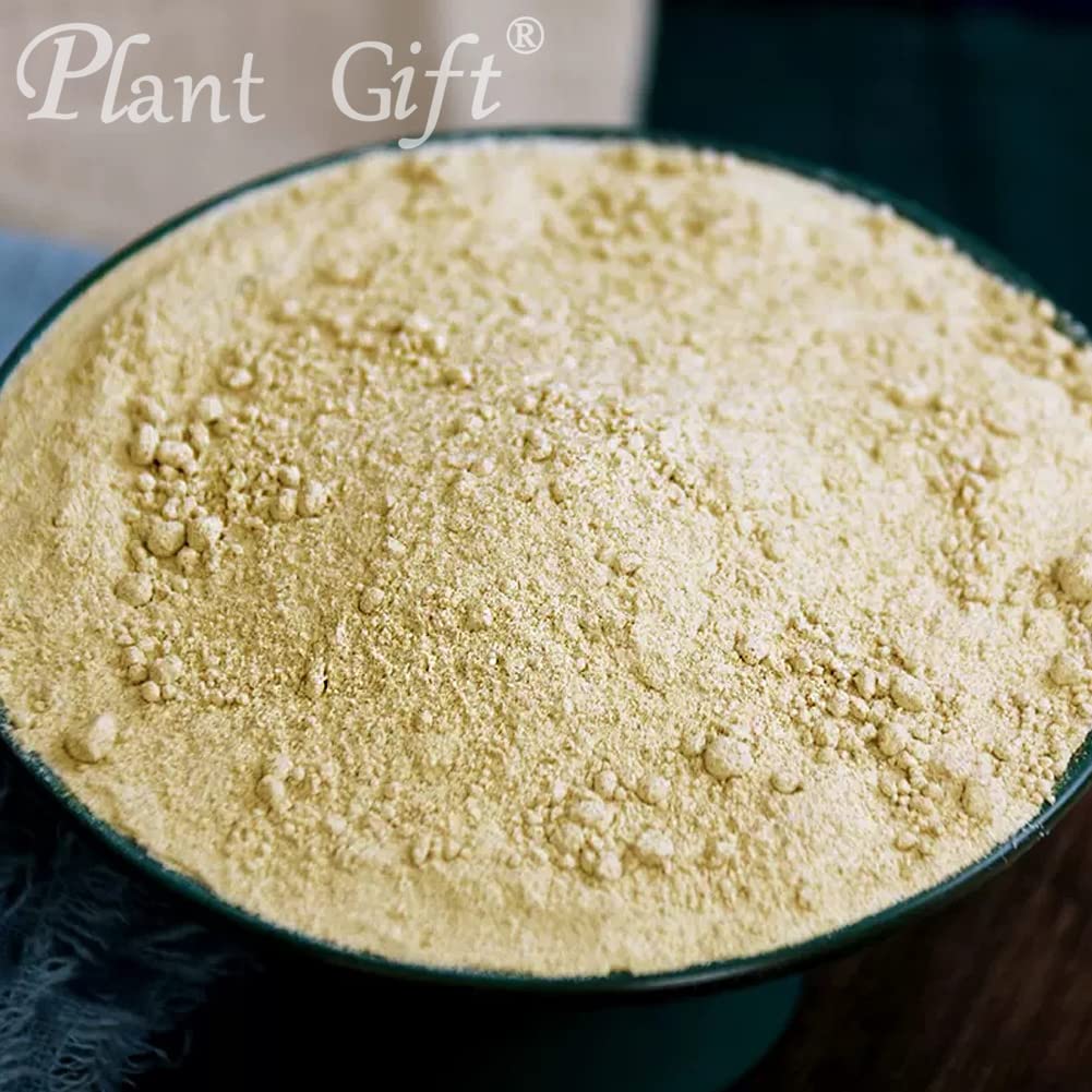 100% Pure Pea Protein Powder - Natural Non-GMO Vegan Protein for Smoothies, Baking, Shakes & Healthy Drinks | No Fillers or Additives | 3.25oz (100g) | Perfect for Post-Workout Recovery & Meal Replacement