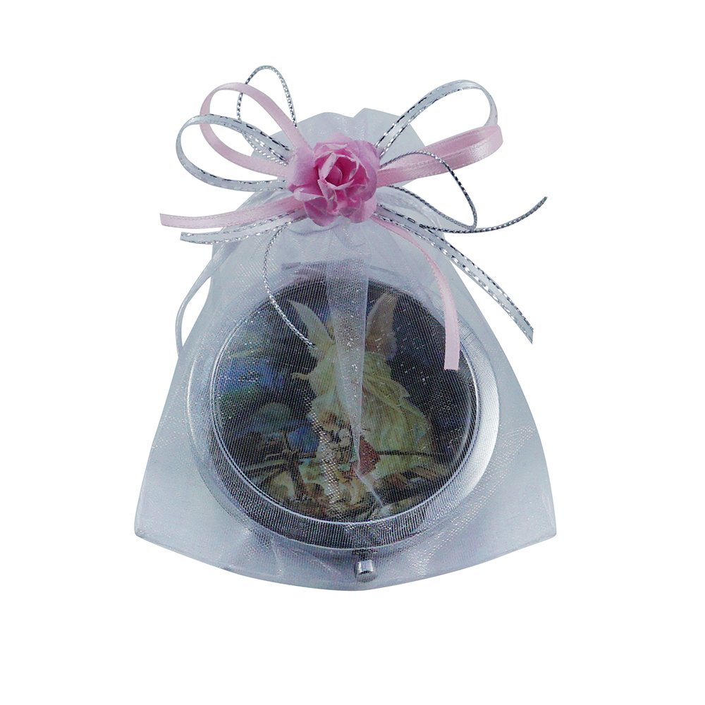A Guardian Angel's Gift: The Story of Lily's Baptism
