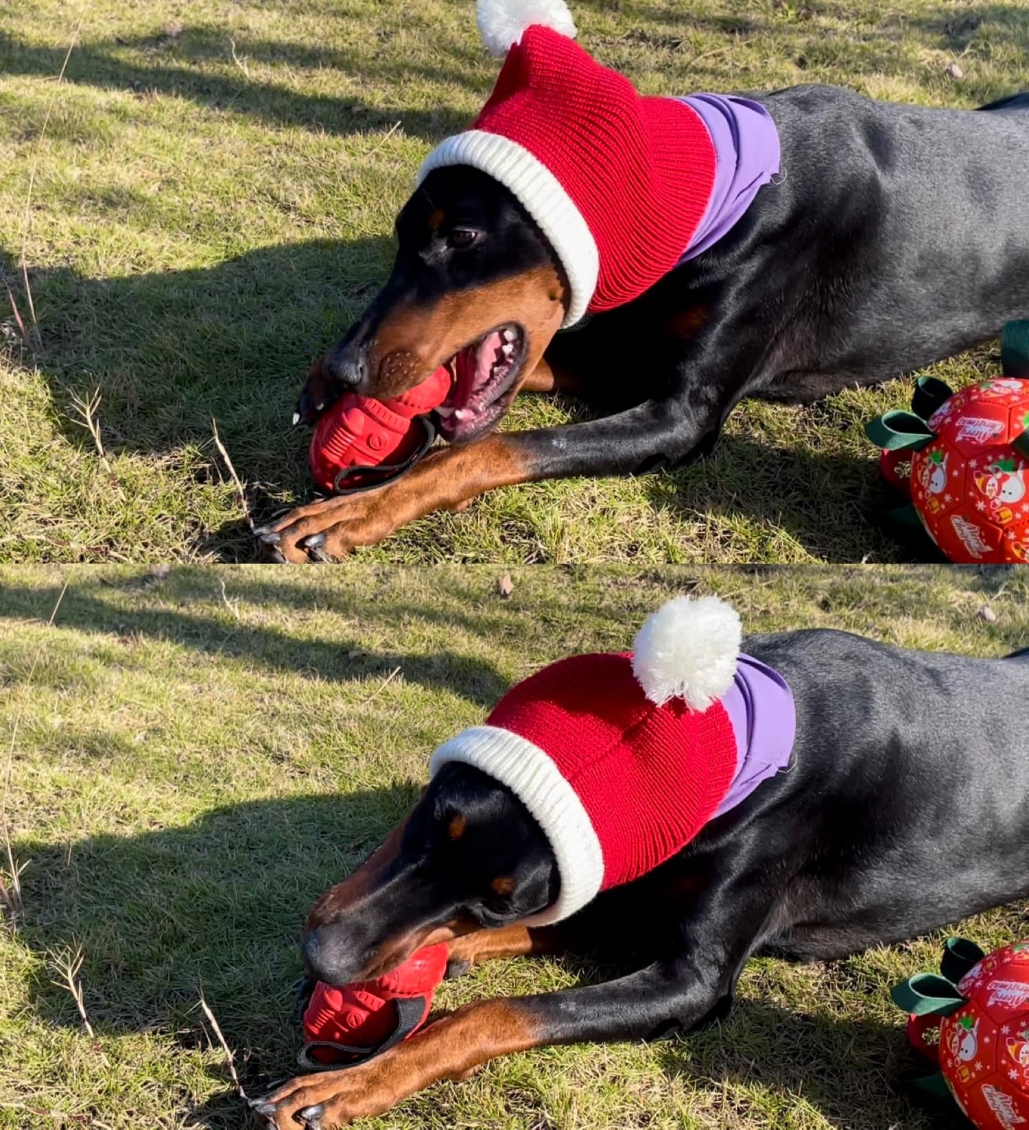 **Indestructible Dog Puzzle Toys for Aggressive Chewers – Durable Rubber Chew Toys for Large & Medium Dogs – Interactive Treat Dispensing & Squeaky Enrichment Toys – Perfect for Boredom Relief & Mental Stimulation**