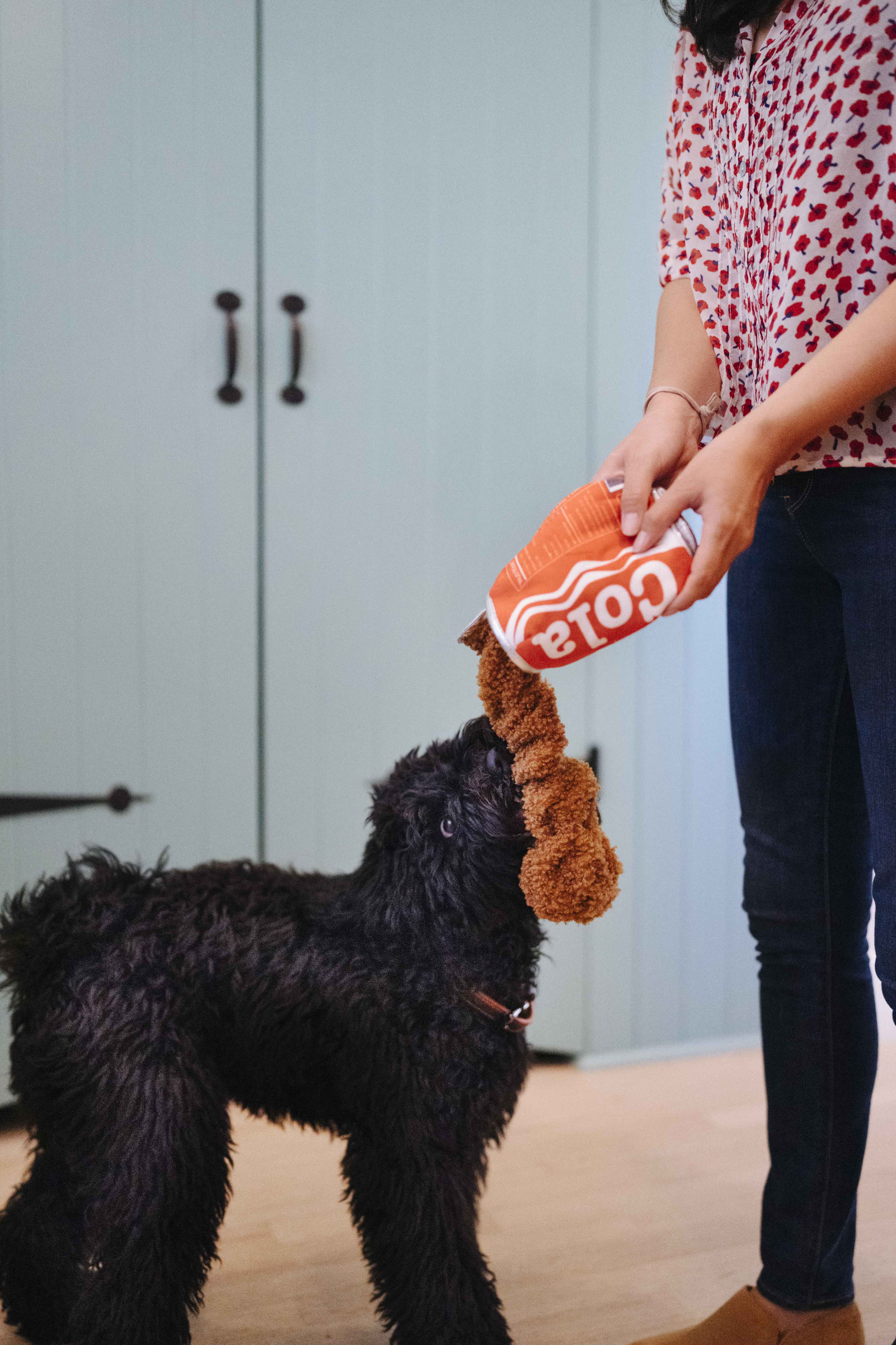 **P.L.A.Y. Snack Attack Squeaky Plush Dog Toys – Good Boy Cola Flavor | Interactive Chew Toy for Small & Medium Dogs | Perfect for Playtime & Training Rewards**