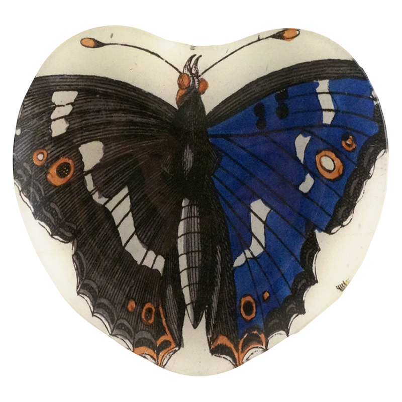 8H Butterfly 29 Copy PNG - High-Quality Digital Image for Design & Printing | Perfect for Social Media, Websites, and Creative Projects