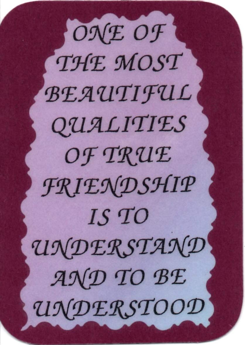 3x4 Inch Inspirational Refrigerator Magnet - 2066 Beautiful Qualities of True Friendship, Thoughtful Gift for Family, Friends & Neighbors (Housewarming, Christmas, Birthday, Office, Church) - Perfect for Fridge, Locker & Whiteboard Decor