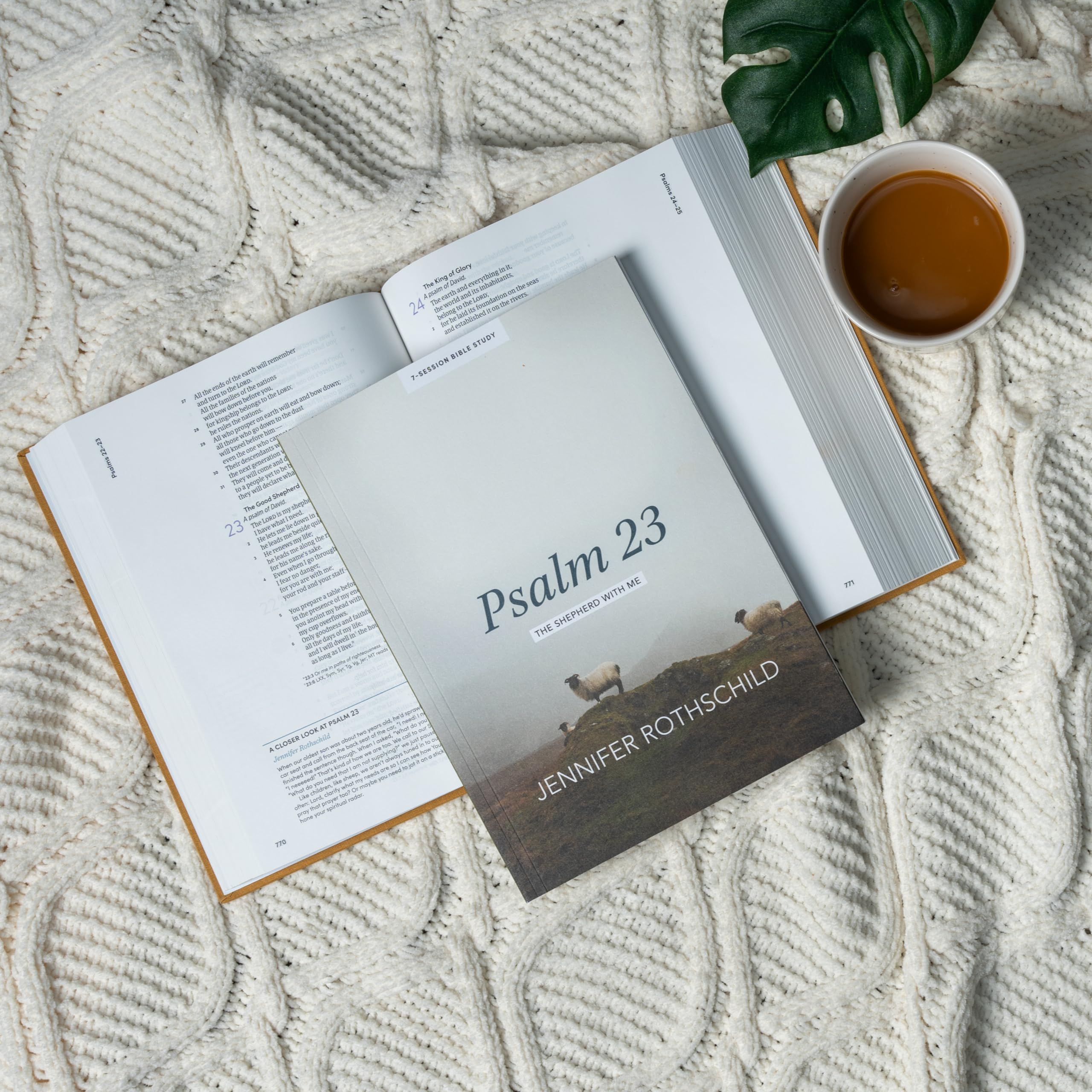 Psalm 23 Bible Study Book with Video Access - The Shepherd With Me - Christian Devotional Guide for Small Groups & Personal Reflection