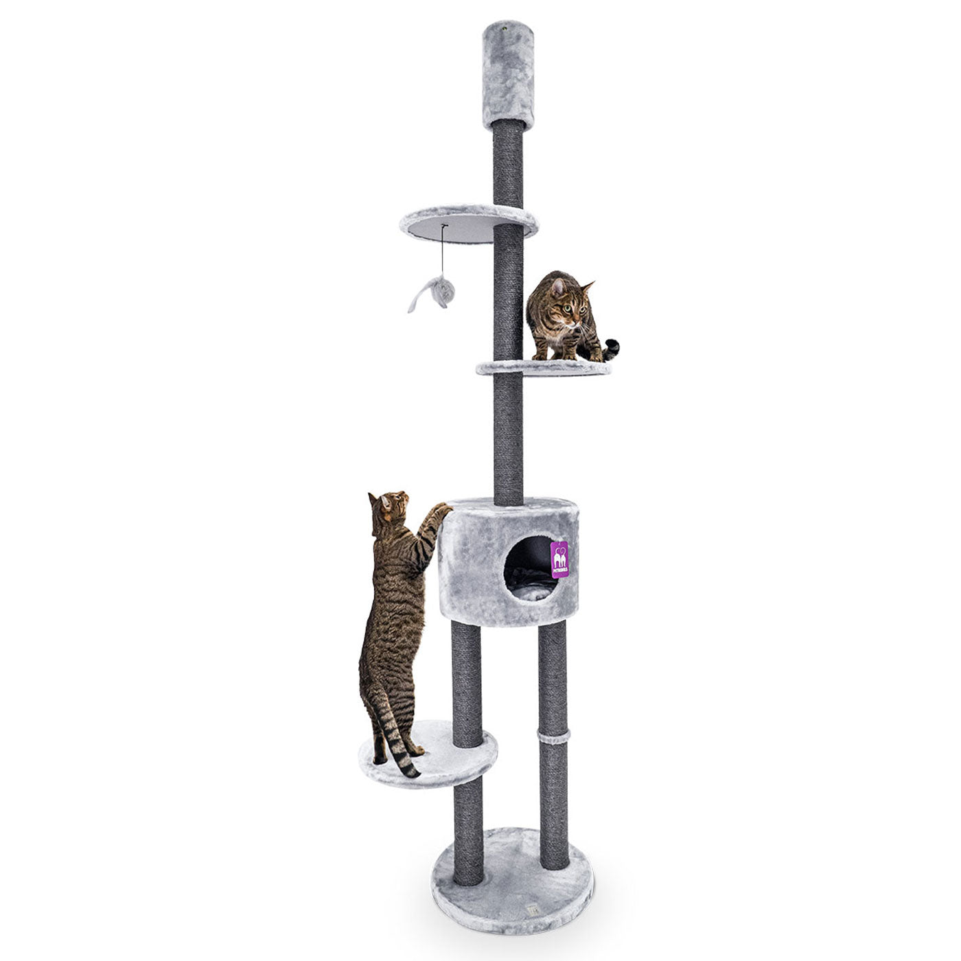 Premium 240cm Cat Tree for Large Cats - Kings & Queens Anna Cat Tower with Scratching Posts & Perches - Perfect for Indoor Play & Climbing for Your Feline Friend