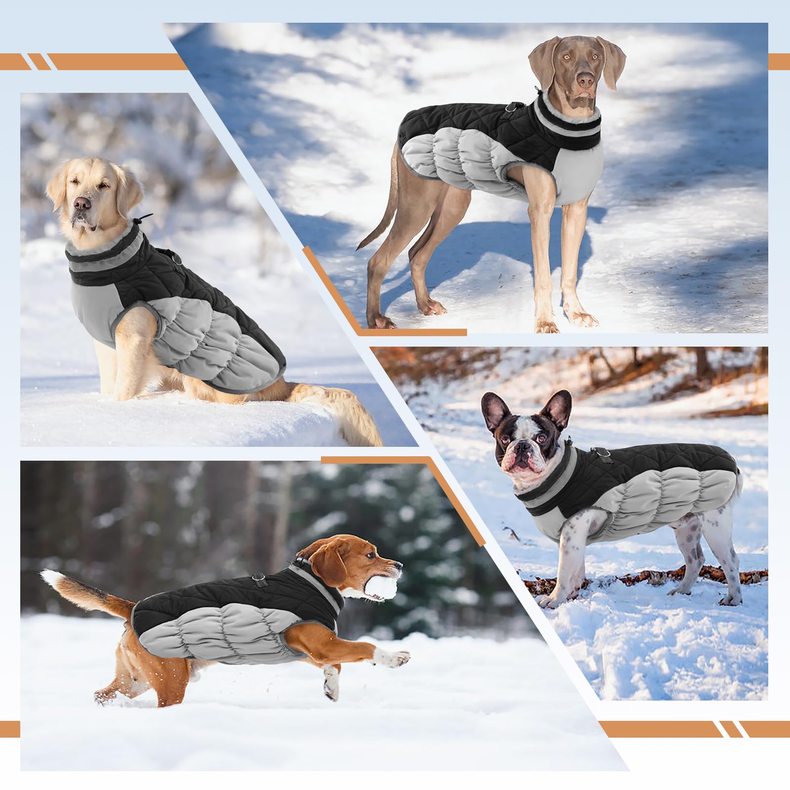Waterproof Fleece-Lined Dog Winter Coat for Medium Dogs - Warm Zip-Up Jacket with D-Ring for Pug & Boston Terrier - Cold Weather & Snow Protection (Black, Size M) - Perfect for Winter Walks, Outdoor Adventures & Snow Play