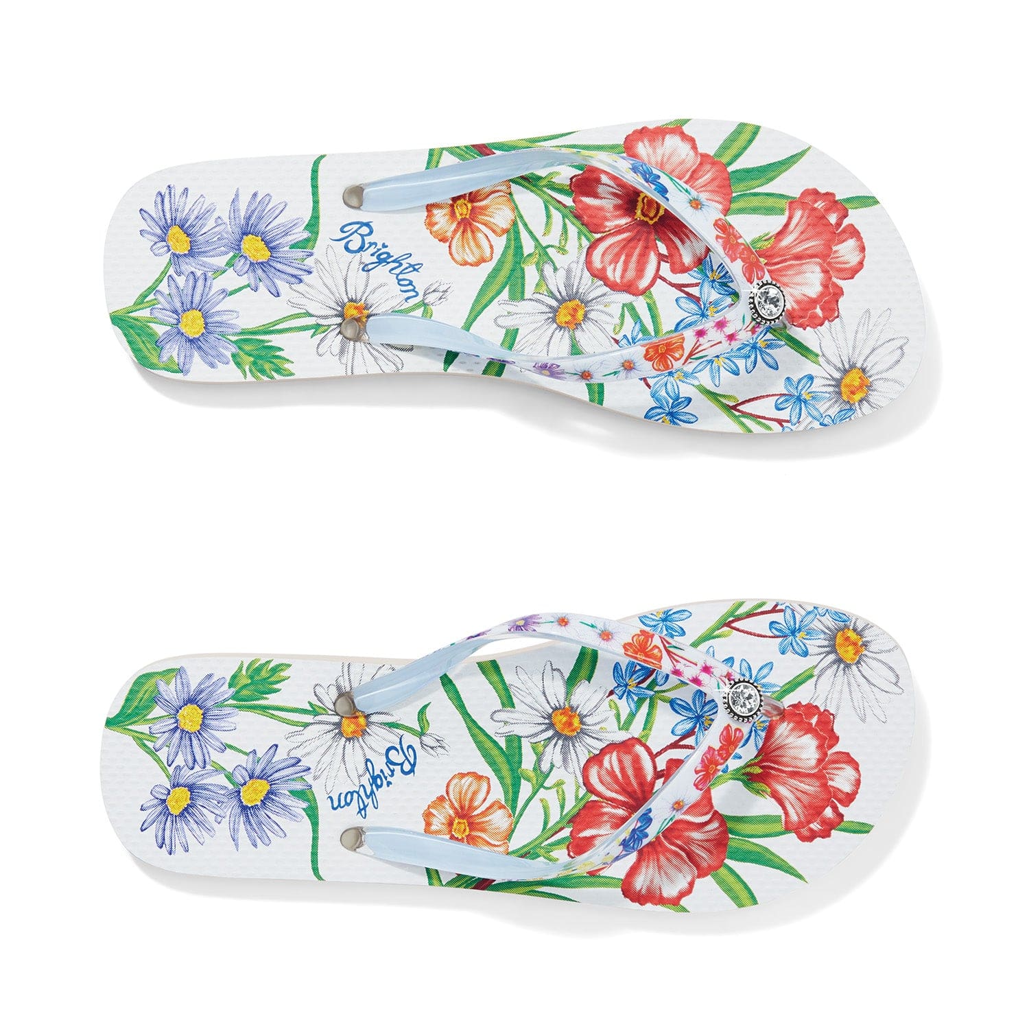 **Aussie Flip Flops - Comfortable & Durable Sandals for Men & Women - Perfect for Beach, Pool, and Summer Outdoor Activities**