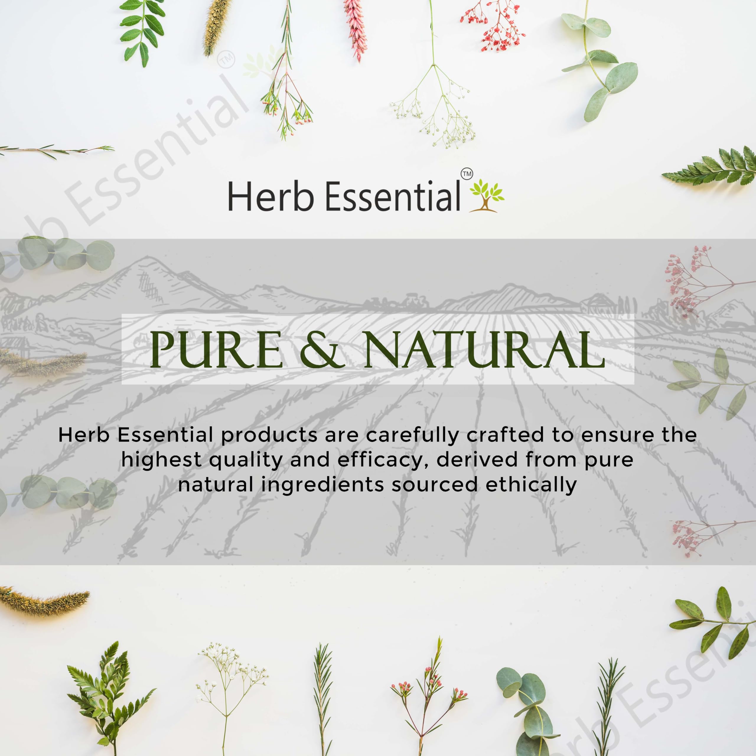 100% Organic Natural Henna Powder for Hair Color & Growth - 100g (Pack of 2) | Chemical-Free, Preservative-Free | Safe for Women & Men | DIY Hair Dye & Conditioning Treatment | Perfect for At-Home Salon Results & Natural Hair Care