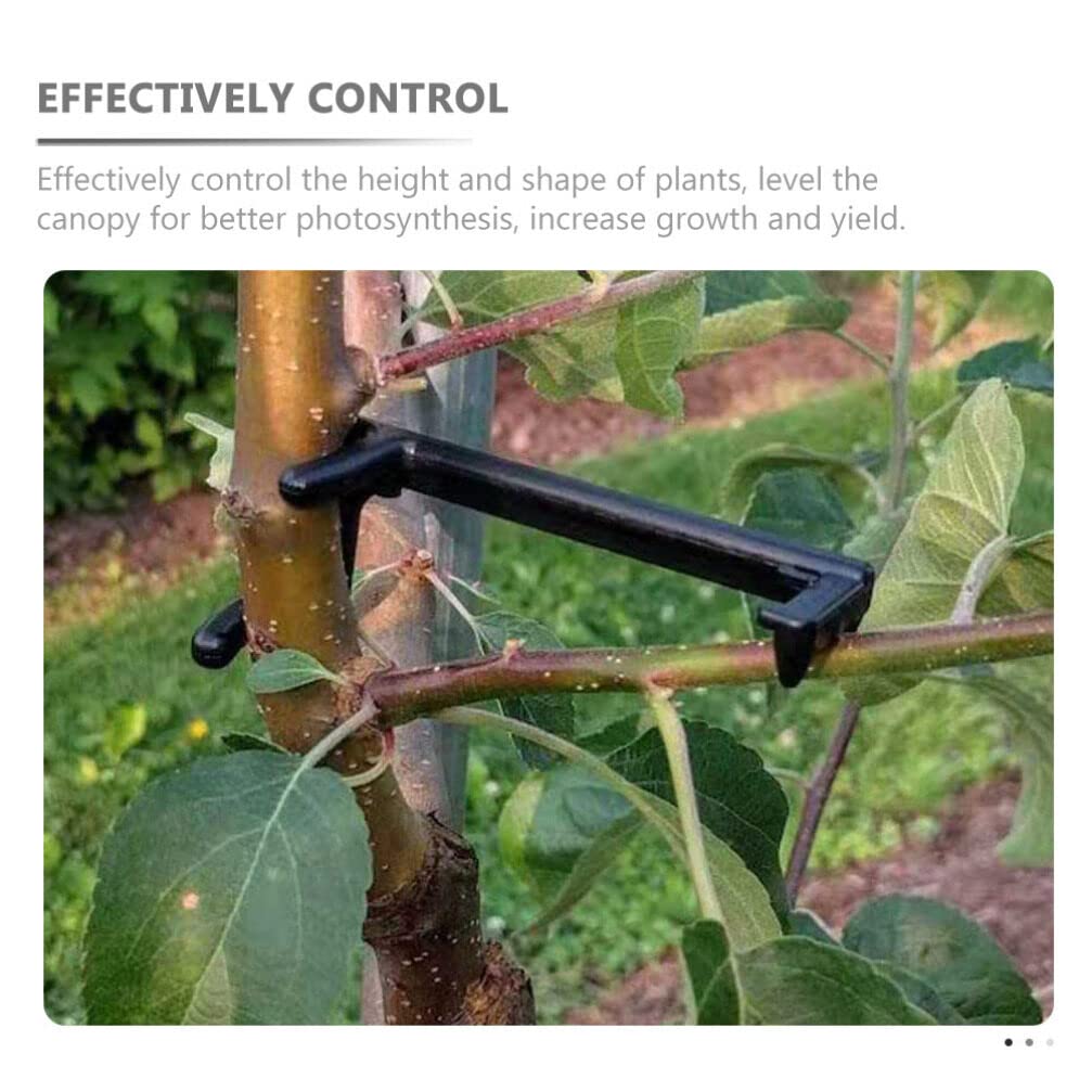 NOLITOY 10pcs Fruit Tree Branch Spreader - Adjustable Bonsai Limb Trainer for Apple, Peach & Cherry Trees - Perfect for Gardening, Pruning & Shaping Fruit Trees