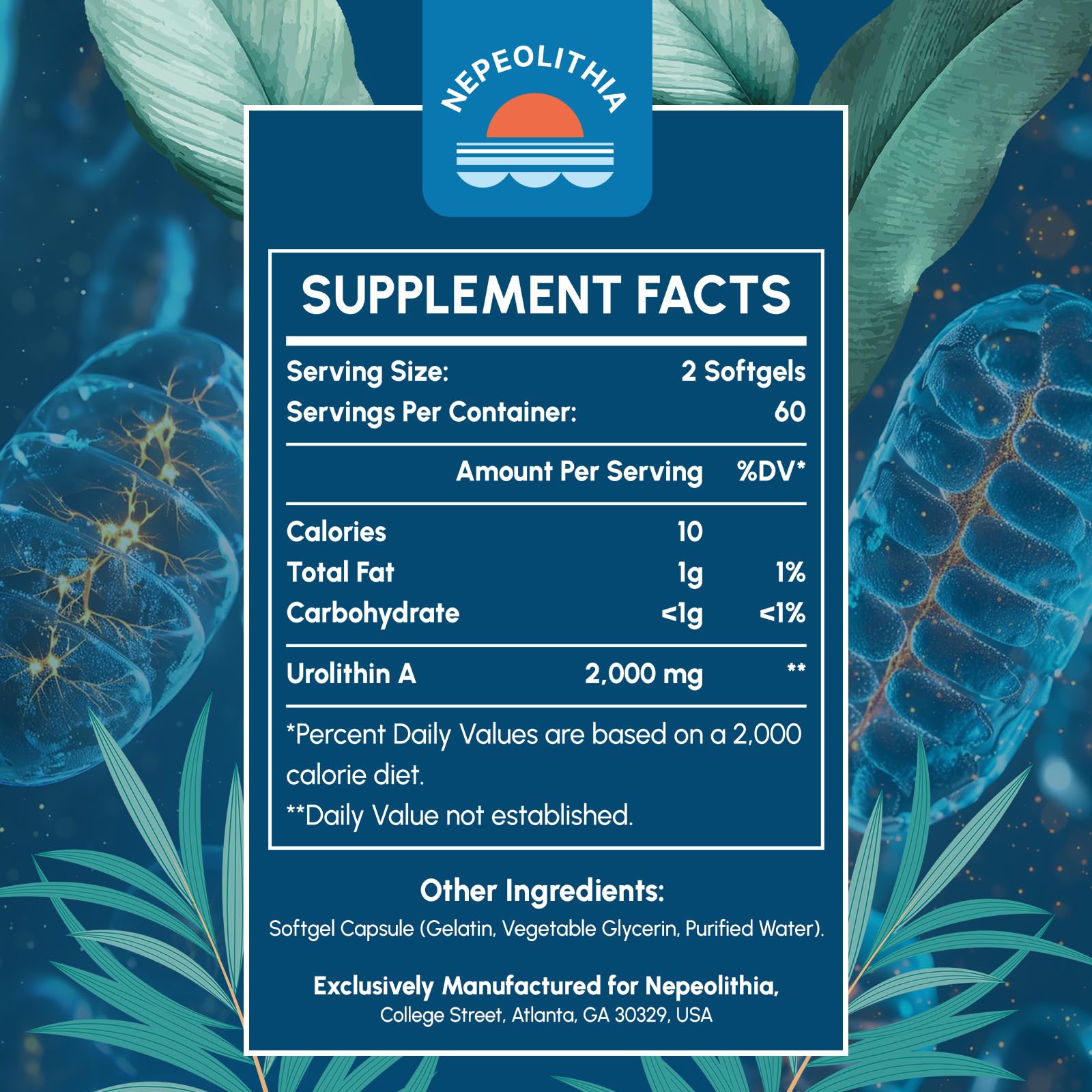 Urolithin A 2000mg Supplement - 120 Softgels | Gluten Free, Vegan & Non-GMO | Supports Cellular Health & Longevity | Perfect for Anti-Aging & Muscle Recovery