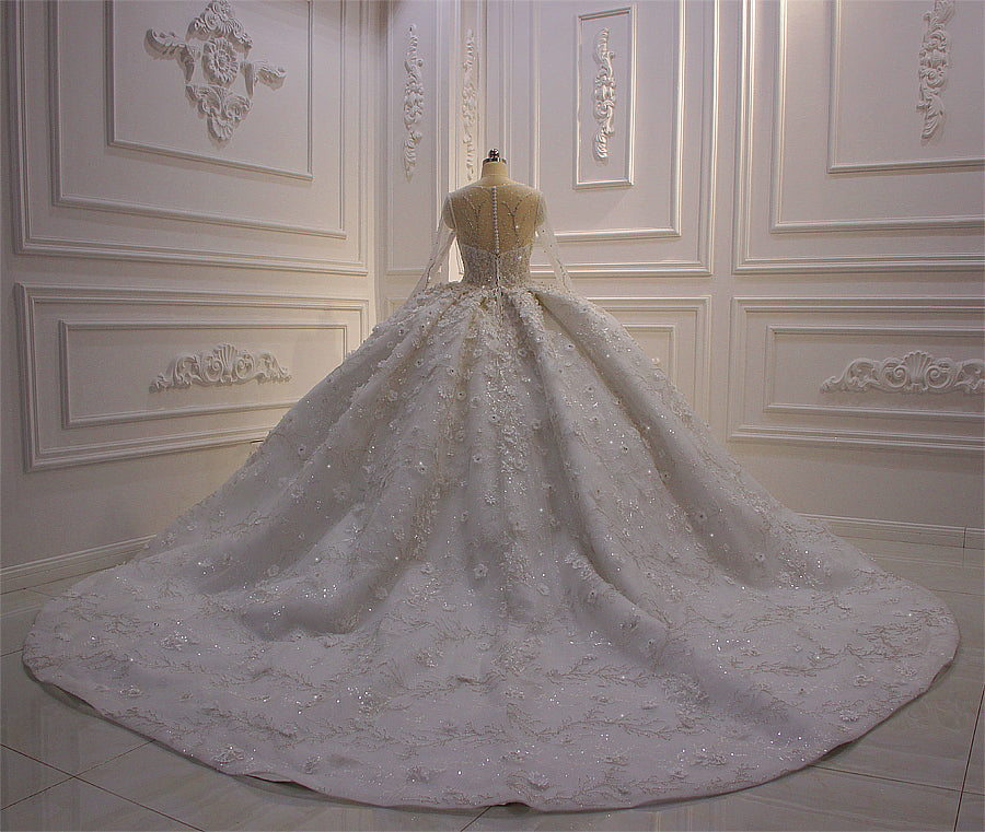 Sparkling Crystal Bling Sleeve Wedding Dress AM310 – Elegant Long Sleeve Bridal Gown for Church, Ballroom & Formal Occasions