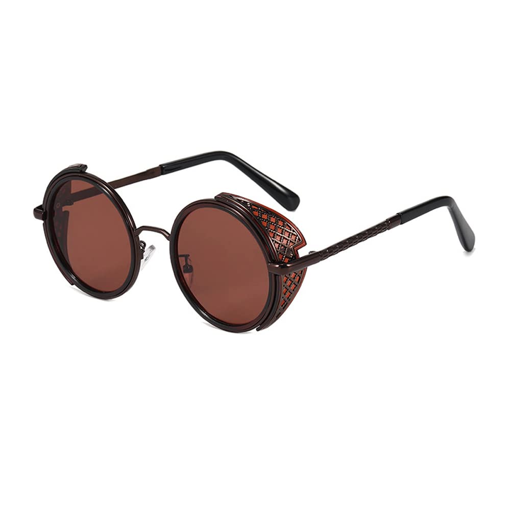 HOYEE EYES Retro Steampunk Sunglasses for Men & Women - Round Metal Frame Vintage Shades with Circle Lens - Perfect for Gothic Fashion, Cosplay and Outdoor Sun Protection