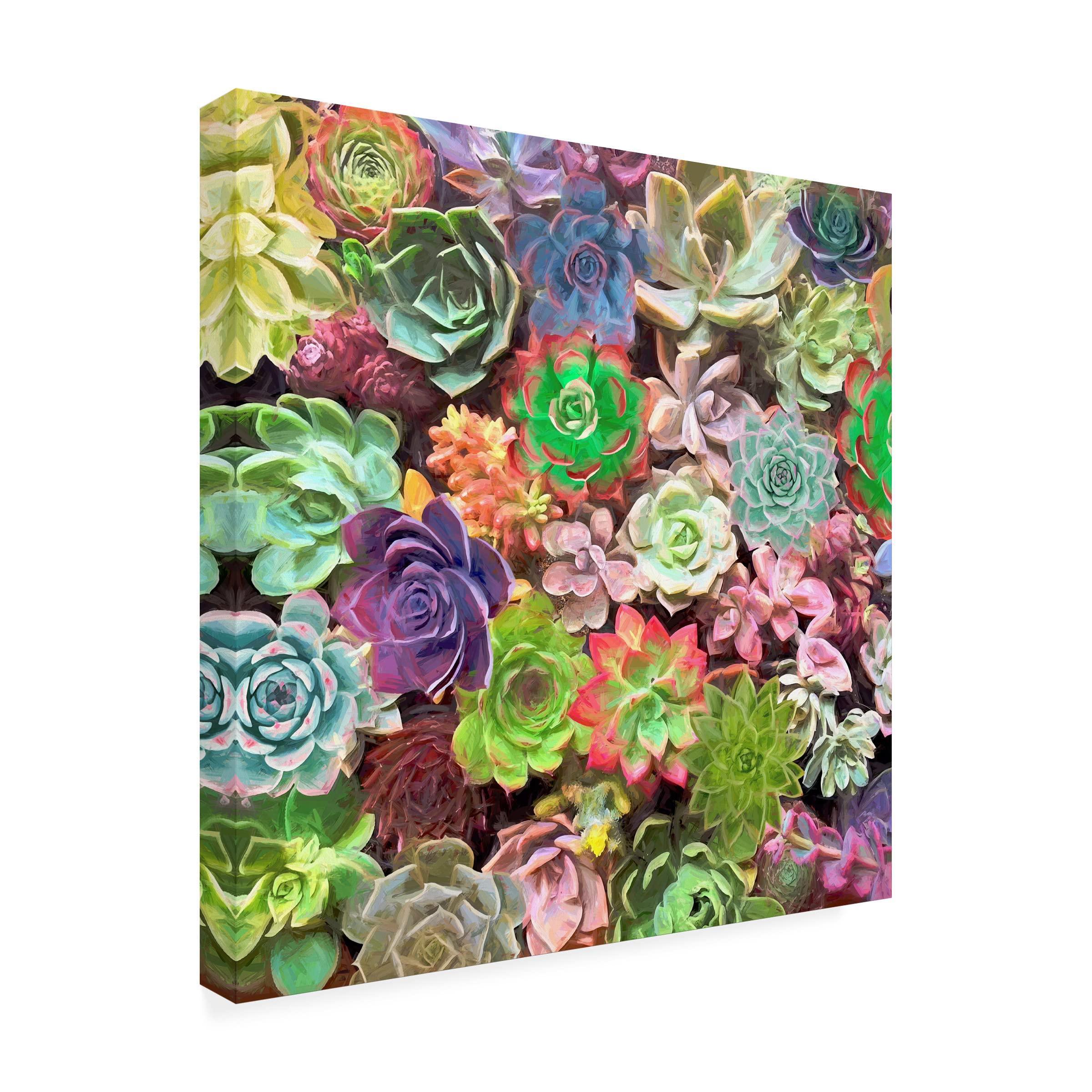 Trademark Fine Art 'Little Succulent Garden II' Canvas Wall Art by Cora Niele - Perfect for Home Decor, Office & Living Room Aesthetic
