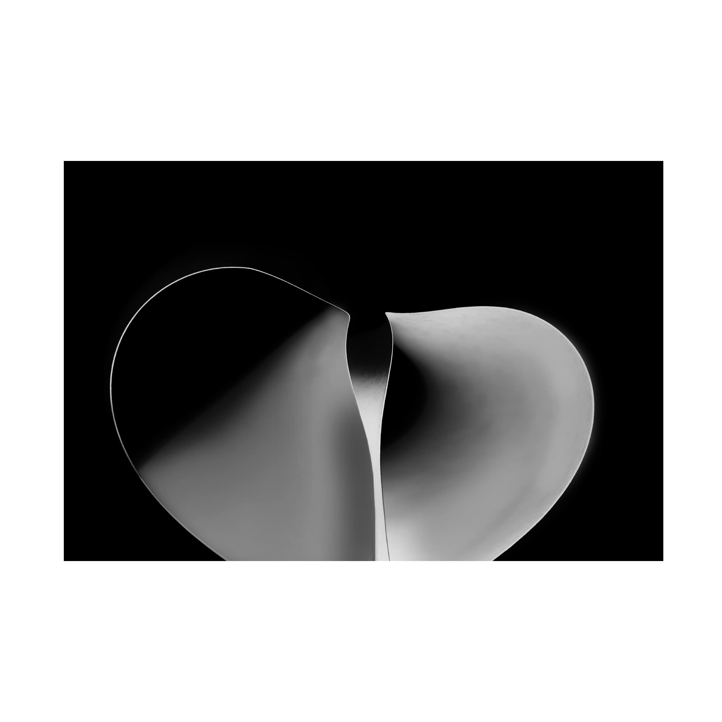 Trademark Fine Art 'Affection' Canvas Wall Art by Jutta Kerber - Romantic Home Decor for Living Room, Bedroom & Office