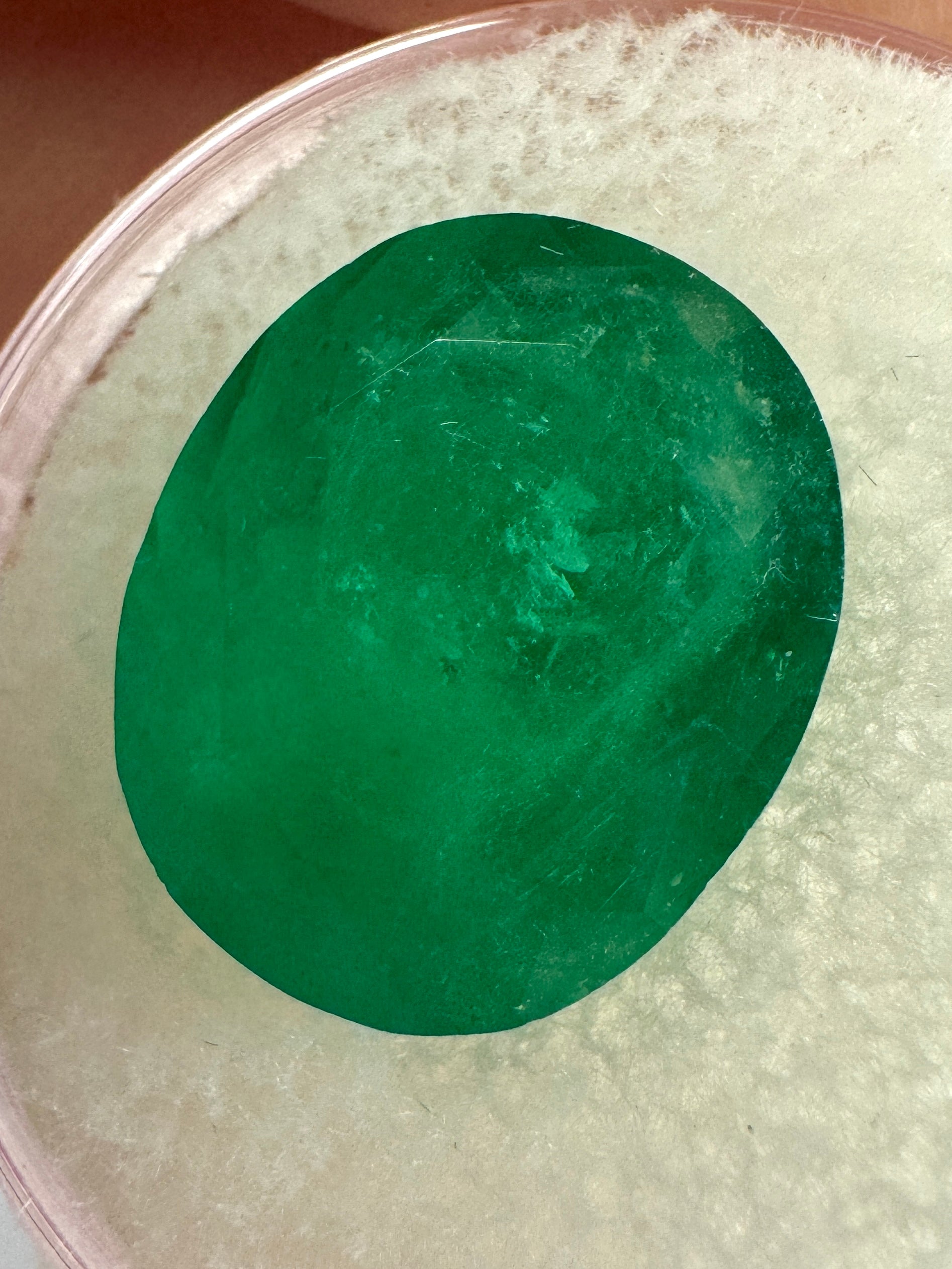 8.29 Carat 14x12mm Deep Green Natural Colombian Loose Emerald Gemstone - Oval Cut for Jewelry Making, Engagement Rings & Luxury Gifts