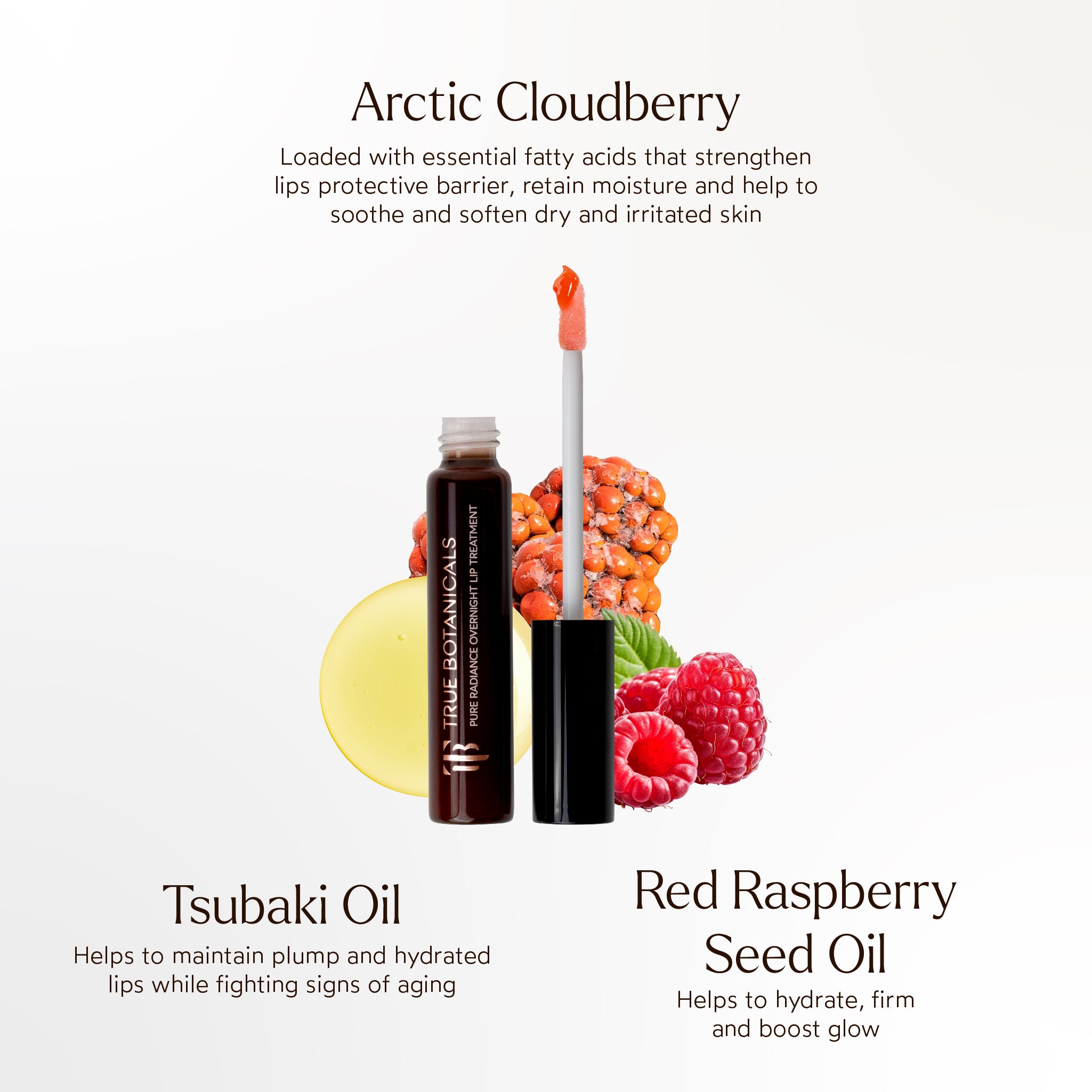 Pure Radiance Overnight Lip Treatment - Hydrating & Plumping Lip Mask for Dry, Chapped Lips | Perfect for Nighttime Skincare Routine & Winter Lip Care