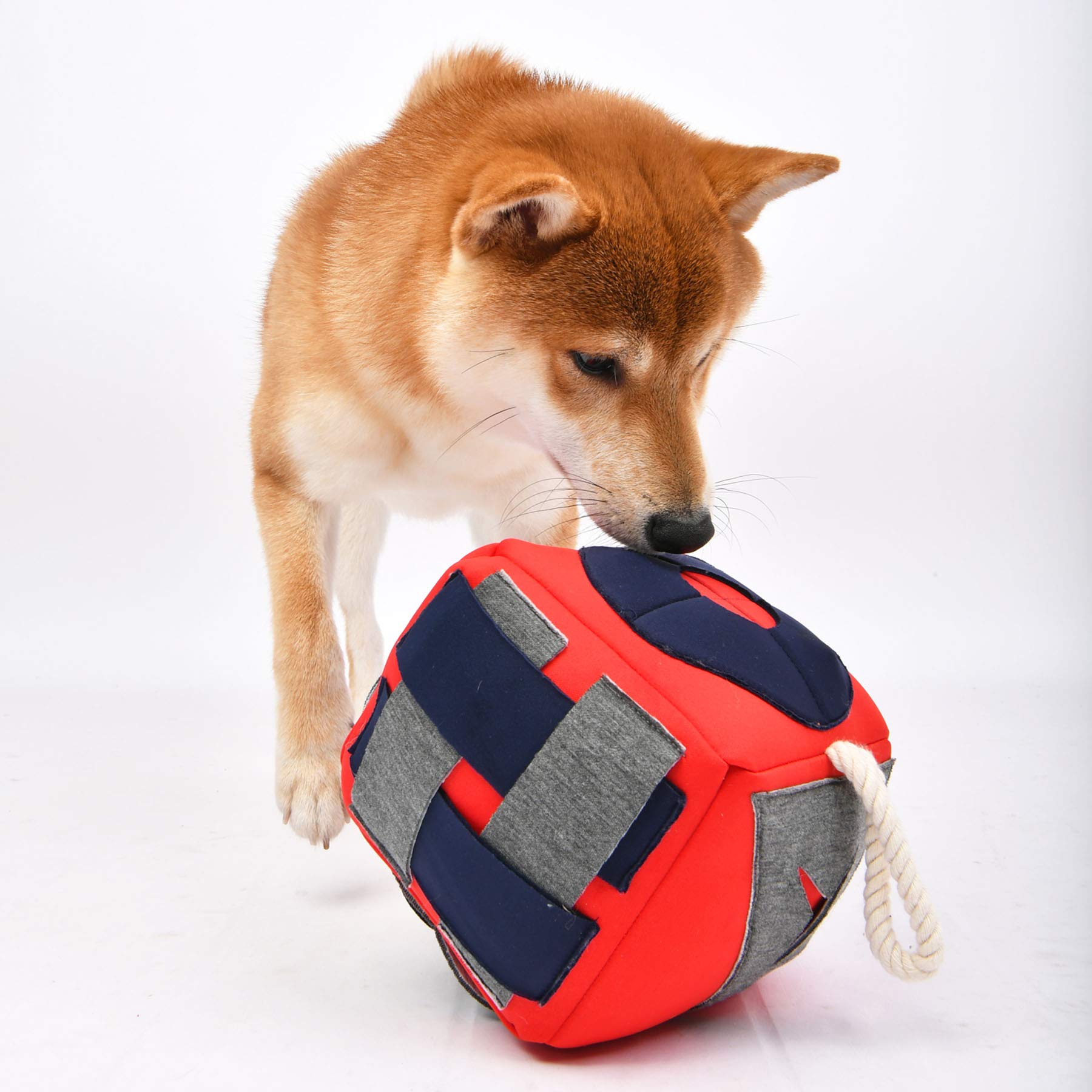 Puppia Dog Nosework Toy Roller - Interactive Treat Dispenser for Dogs - Red - Perfect for Training, Enrichment & Mental Stimulation