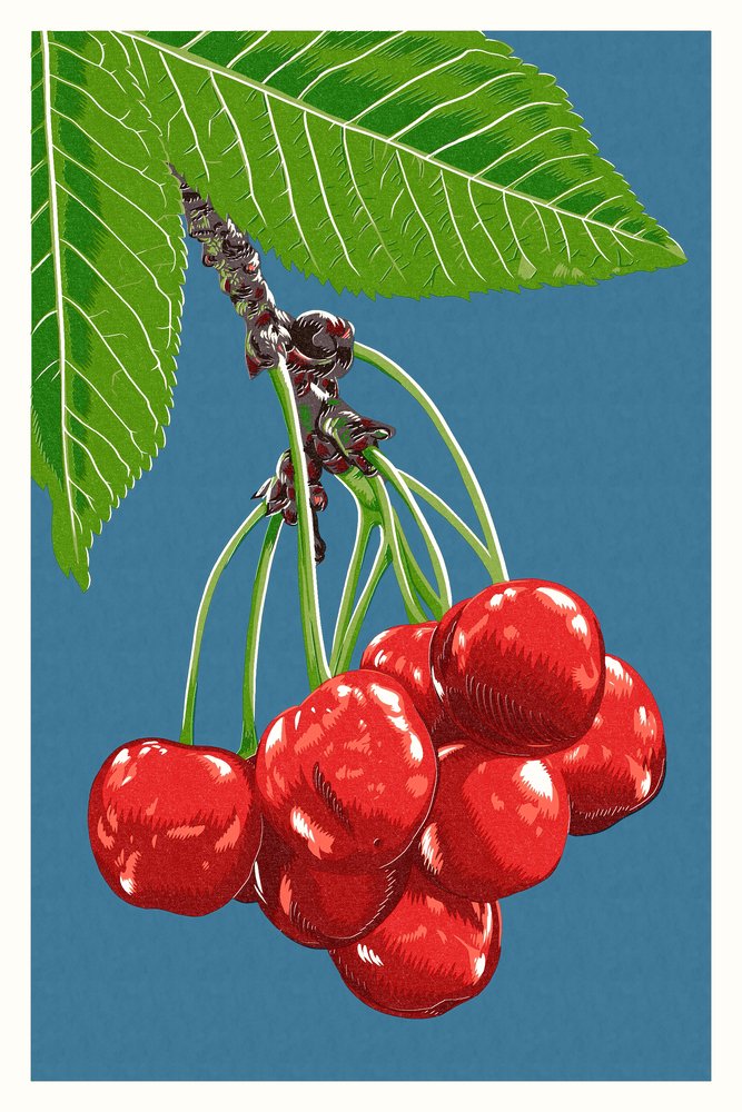 Cherry Blossom Branch Letterpress Art Print - Giclee Gallery Quality, 16x24 Inches, Wall Decor Travel Poster for Home, Office & Bedroom Aesthetic