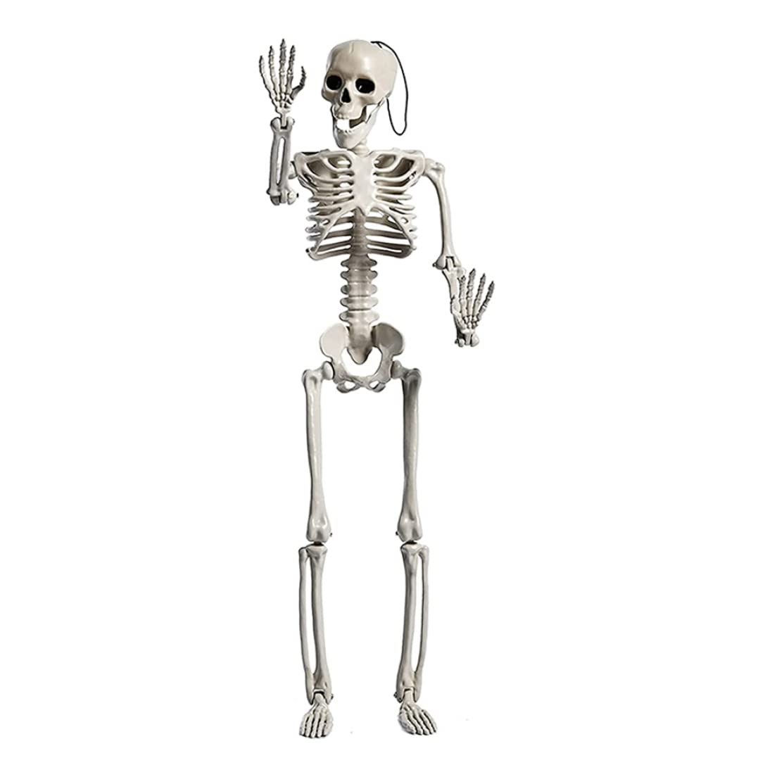 Jualyue 24 Inch Posable Halloween Skeleton with Movable Joints - Full Body Halloween Decoration for Indoor/Outdoor Decor, Party Props & Spooky Costume Accessories | Perfect for Halloween Parties, Haunted Houses & Themed Events