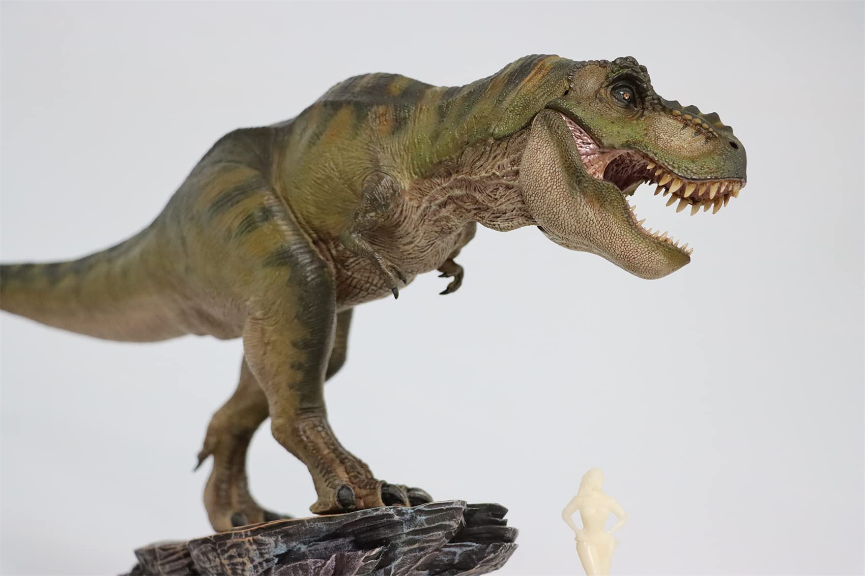 Nanmu 1:35 Scale Tyrannosaurus Rex Dinosaur Model - Highly Detailed T-Rex PVC Collector Toy, Realistic Dinosaur Figure with Display Base, Perfect Gift for Adult Collectors | Home Decor, Office Display, Dinosaur Enthusiast Collection