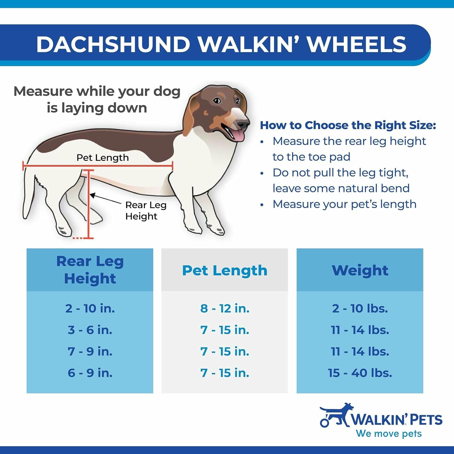 Dachshund Wheelchair for Small Dogs 2-30+ lbs - Vet Approved Rear Leg Support - Adjustable Dog Wheelchair for IVDD, Arthritis & Mobility Issues - Perfect for Walks, Rehabilitation & Daily Activities
