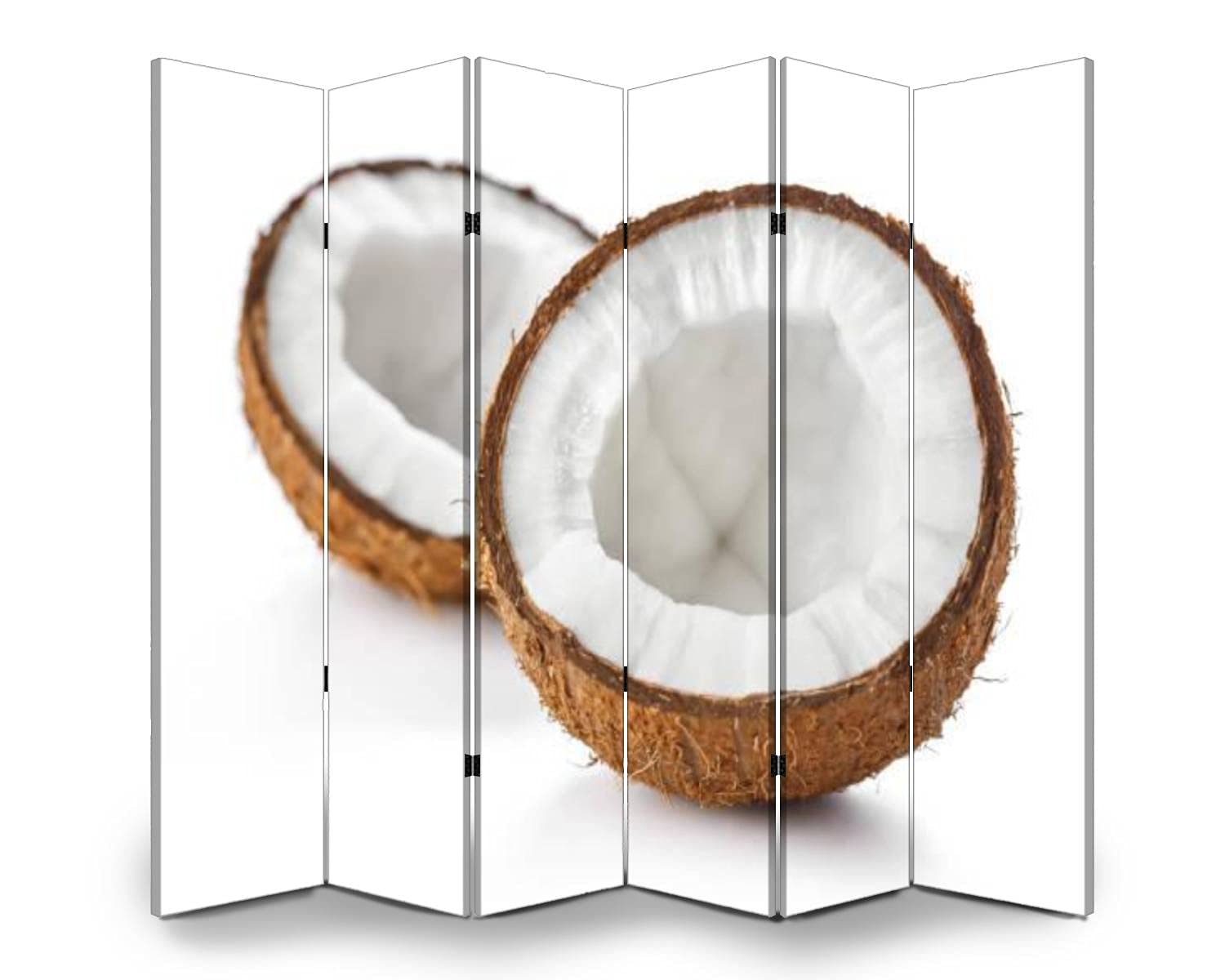 Dola-Dola 6 Panel Folding Room Divider - Cracked Coconut Print Canvas Privacy Screen for Home & Office | Freestanding Indoor Partition Wall for Bedroom, Living Room, and Workspace Separation