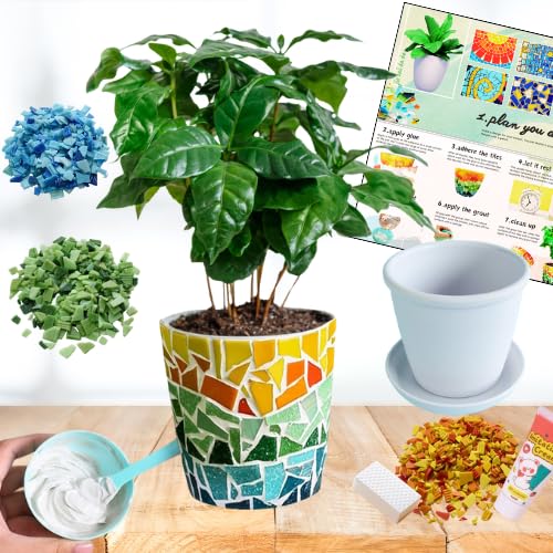 jiezaidada Mosaic Puzzles Craft Kit for Adults - DIY Flowerpot Planter with Step-by-Step Guide, Creative Arts & Crafts Hobby Kit for Women & Men - Perfect for Home Decor, Christmas Gifts, and Relaxation Therapy