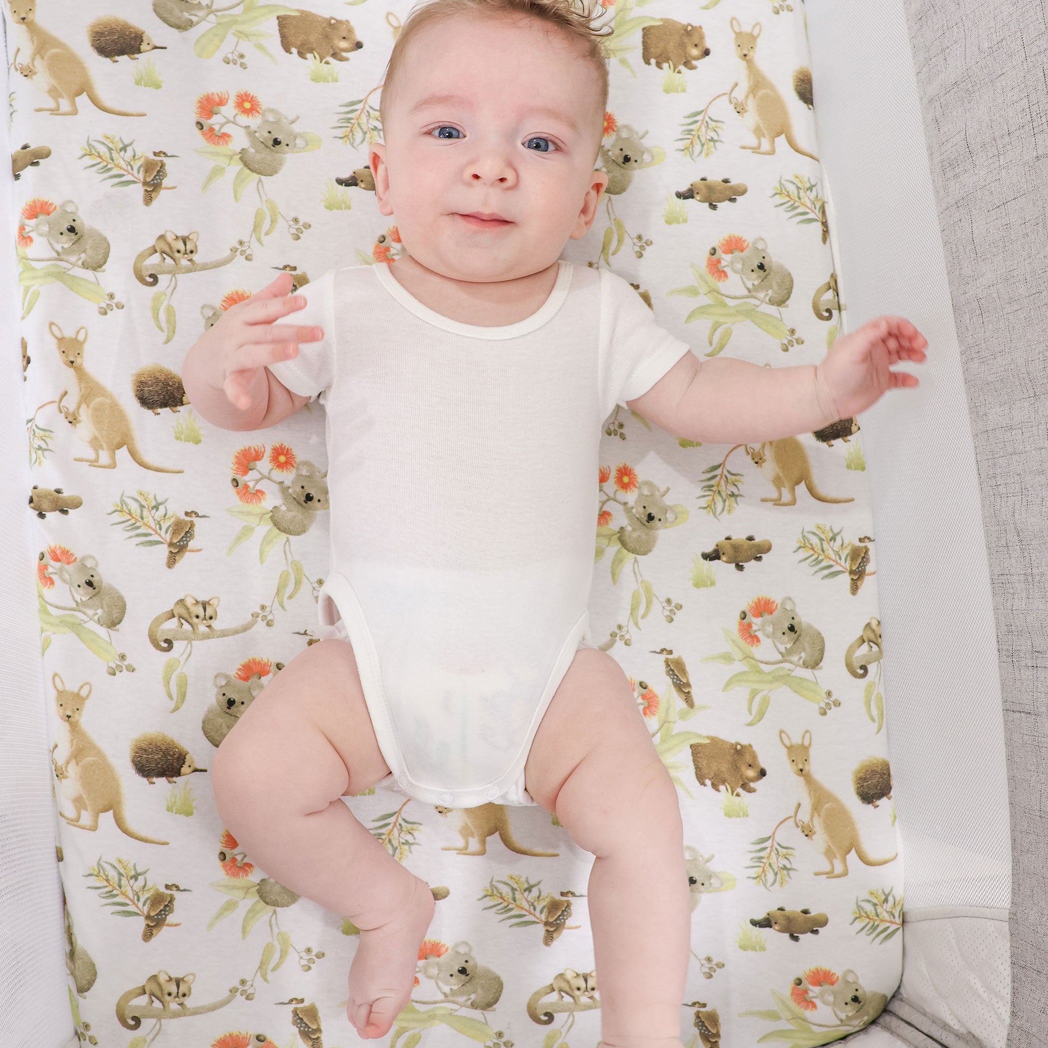 Aussie Animals Co-Sleeper Bedside Crib Jersey Fitted Sheet - Soft & Breathable for Baby Bassinet, Cradle, and Portable Sleeper - Perfect for Nursery, Travel, and Overnight Stays