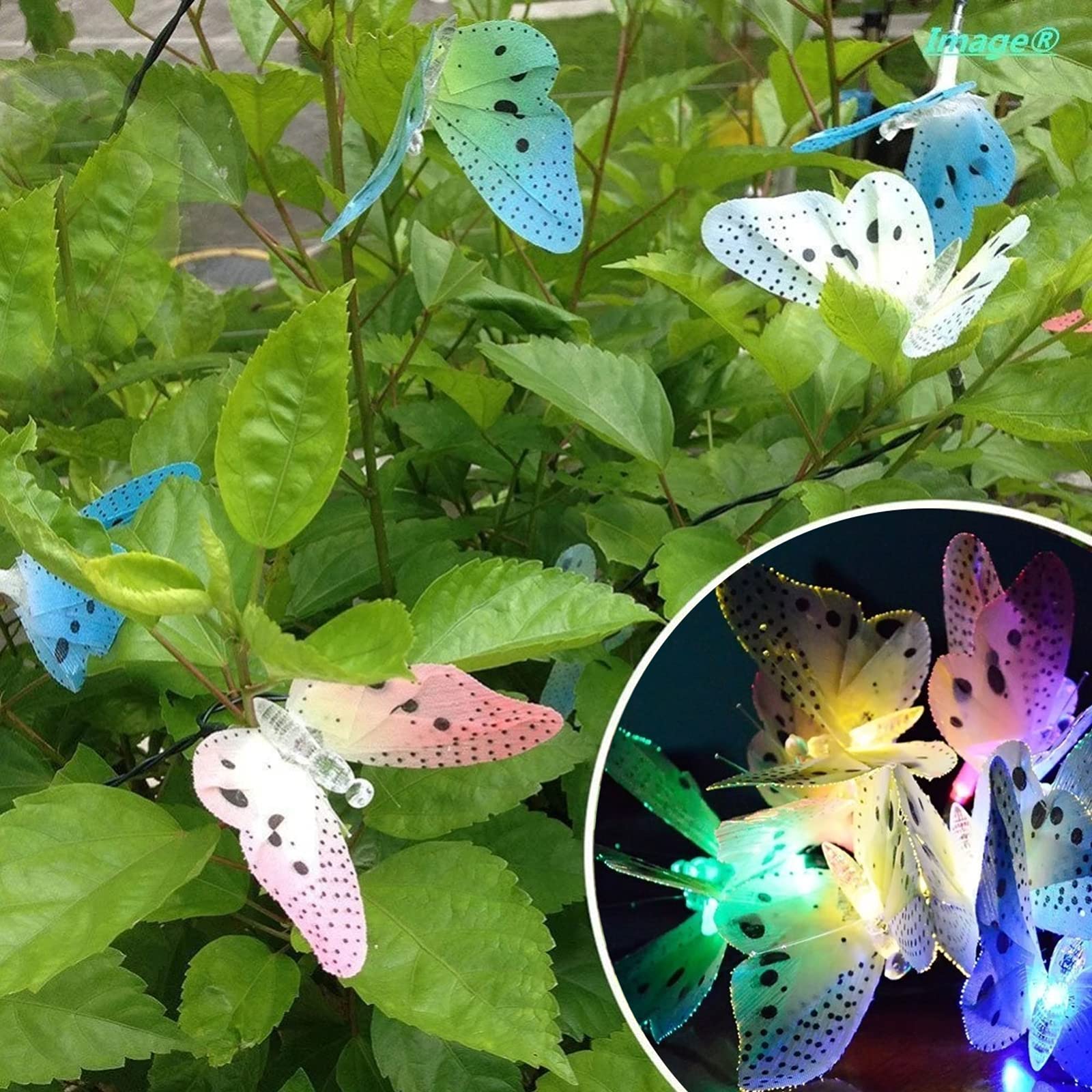 12 LED Solar Butterfly String Lights - Waterproof Outdoor Solar Lights with 8 Lighting Modes | Perfect for Garden, Patio, Christmas, Wedding & Party Decorations