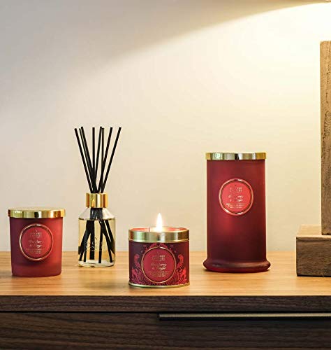 Premium Cranberry & Ginger Scented Tin Candle - Large Red Aromatherapy Candle (7.5 x 7.5 x 7.2 cm) for Home Decor, Relaxation & Holiday Gifts